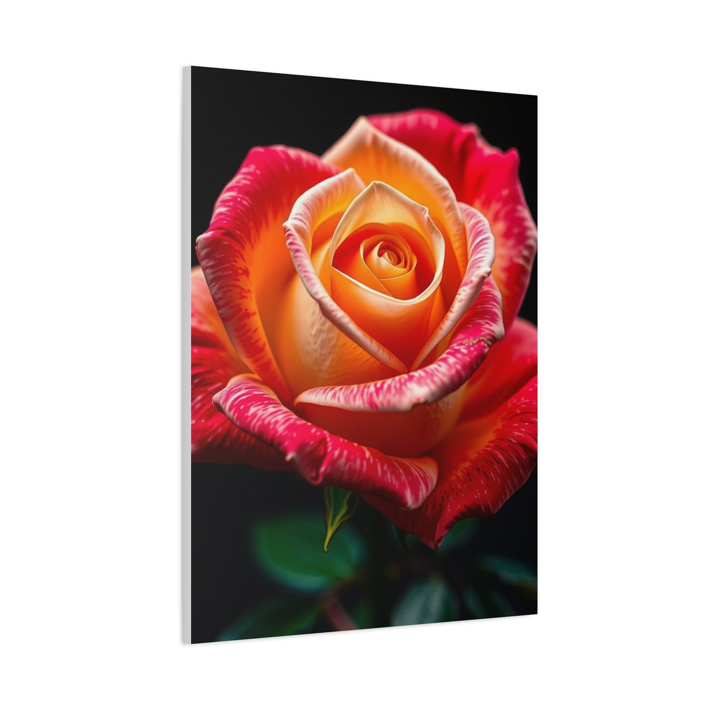 Supreme Rose Art Collection Wall Art & Canvas Print