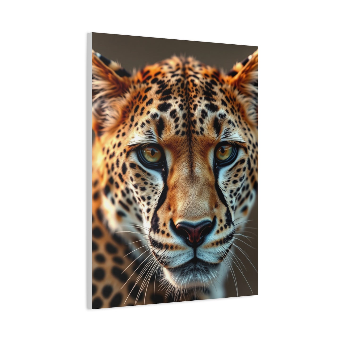 Supreme Cheetah Art Collection Wall Art & Canvas Print