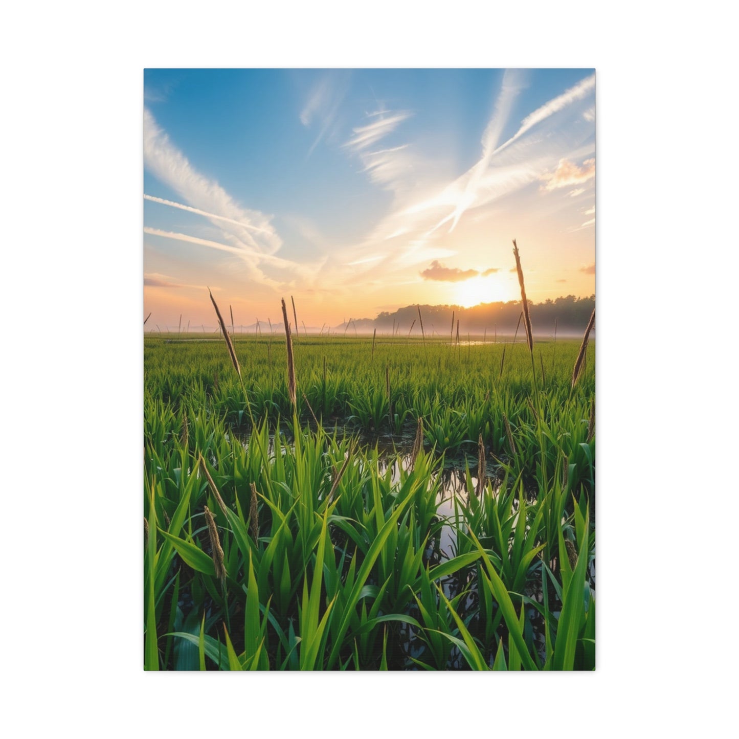 Supreme Marsh & Swamp Art Collection Wall Art & Canvas Print