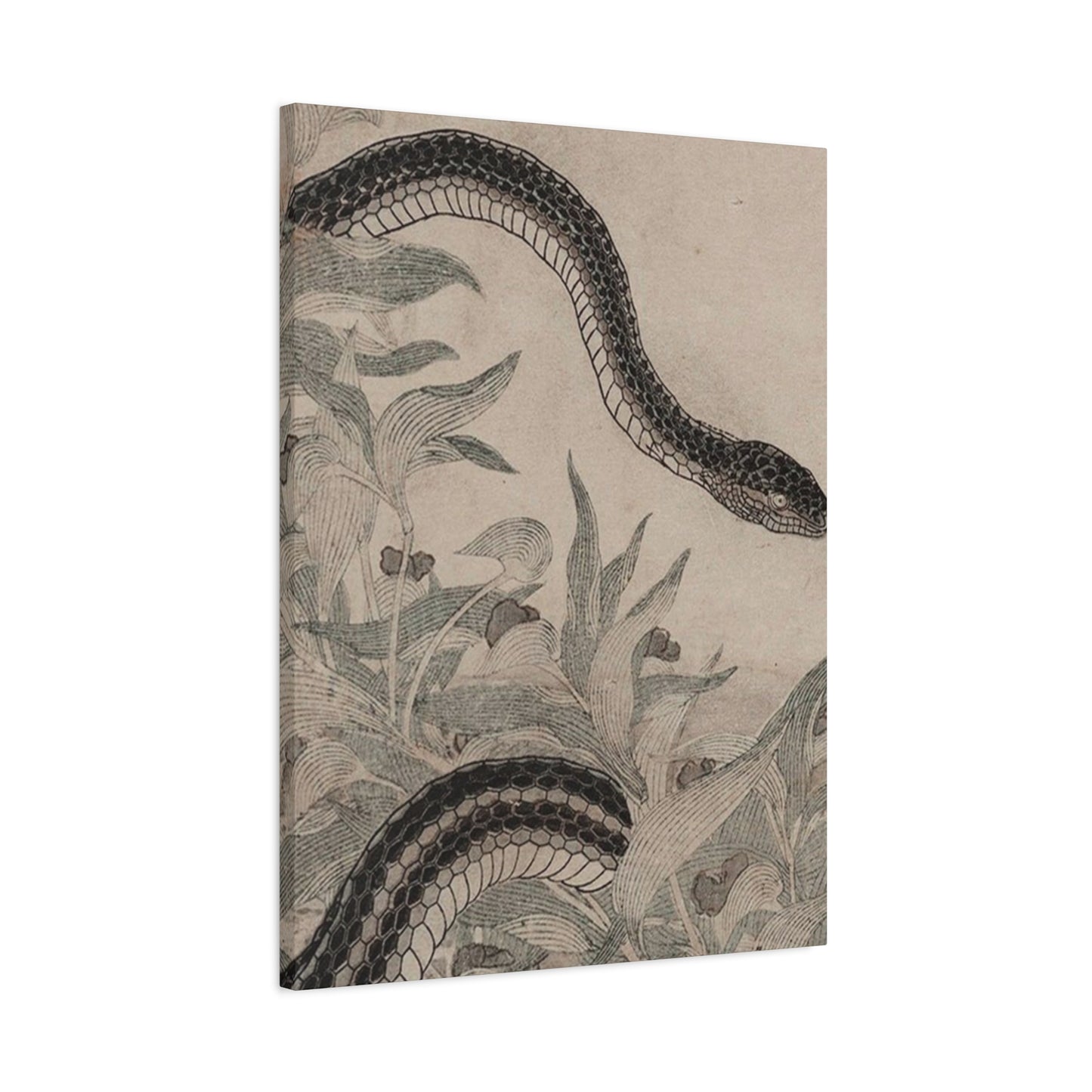 Cobra And Flower Wall Art & Canvas Prints