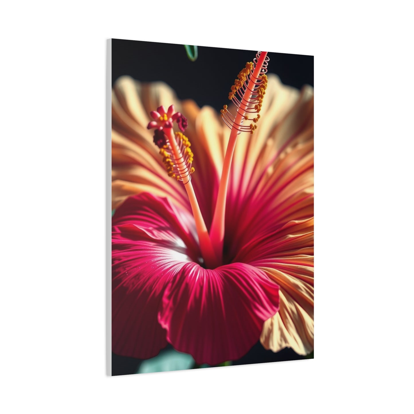 Elite Hibiscus Flower Art Vision Wall Art & Canvas Print