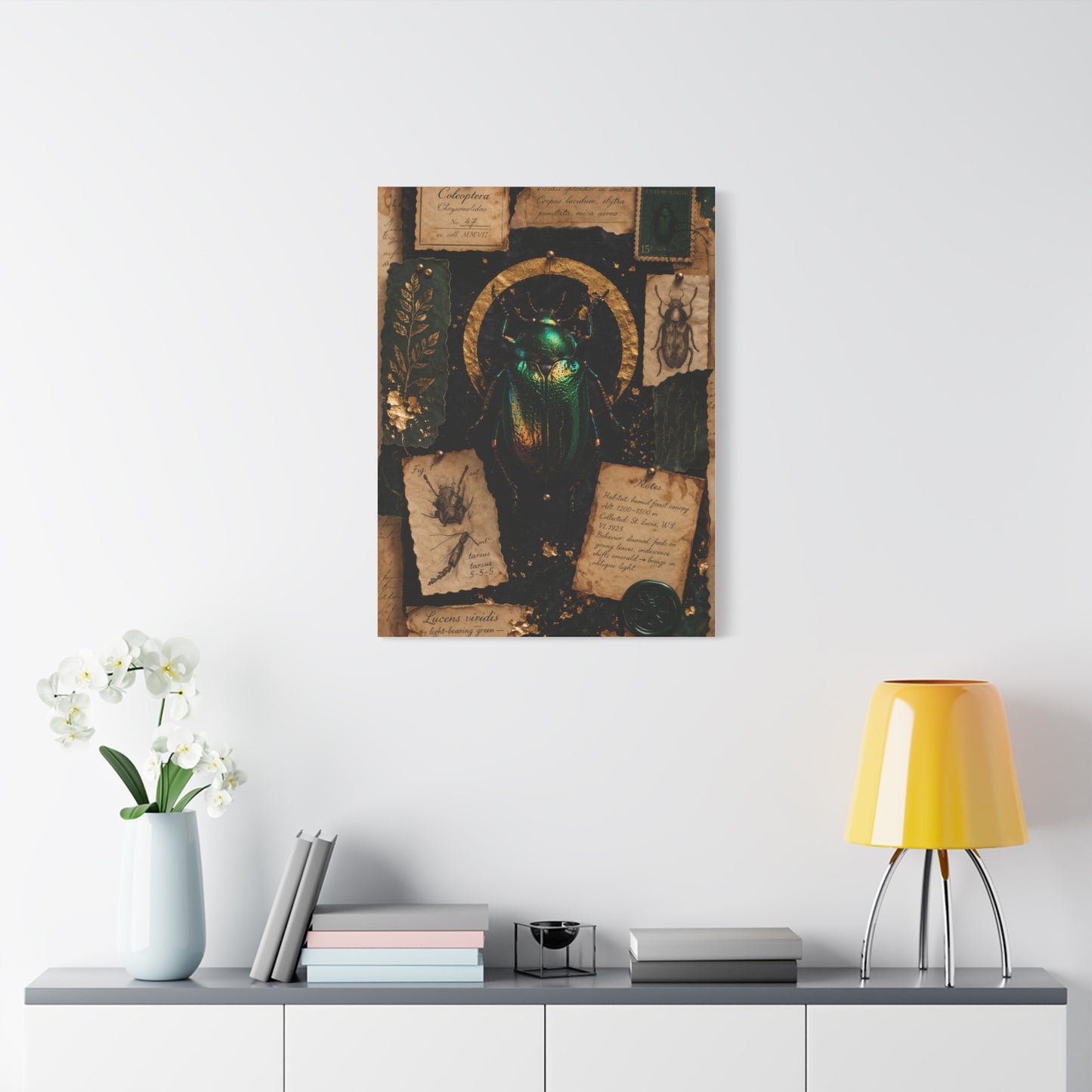 Cabinet of Curiosities Insect Study Wall Art & Canvas Print