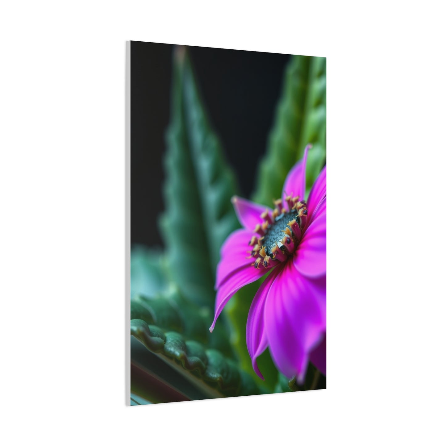 Nature Closeups Art Refined Canvas Wall Art & Canvas Print