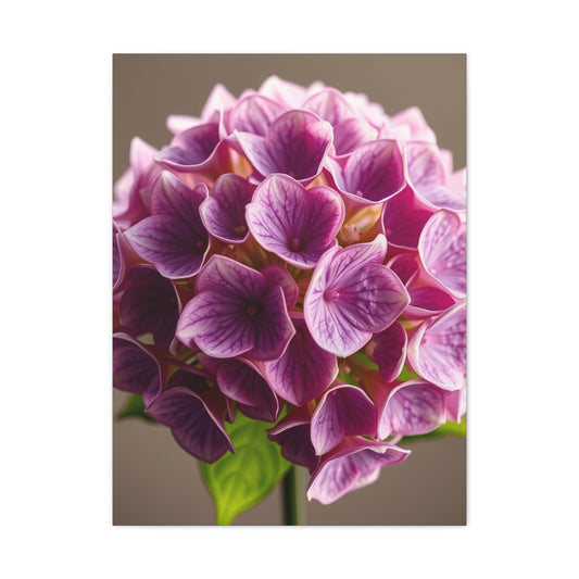 Collection Hydrangea Flower Art Art Wall Art & Canvas Print