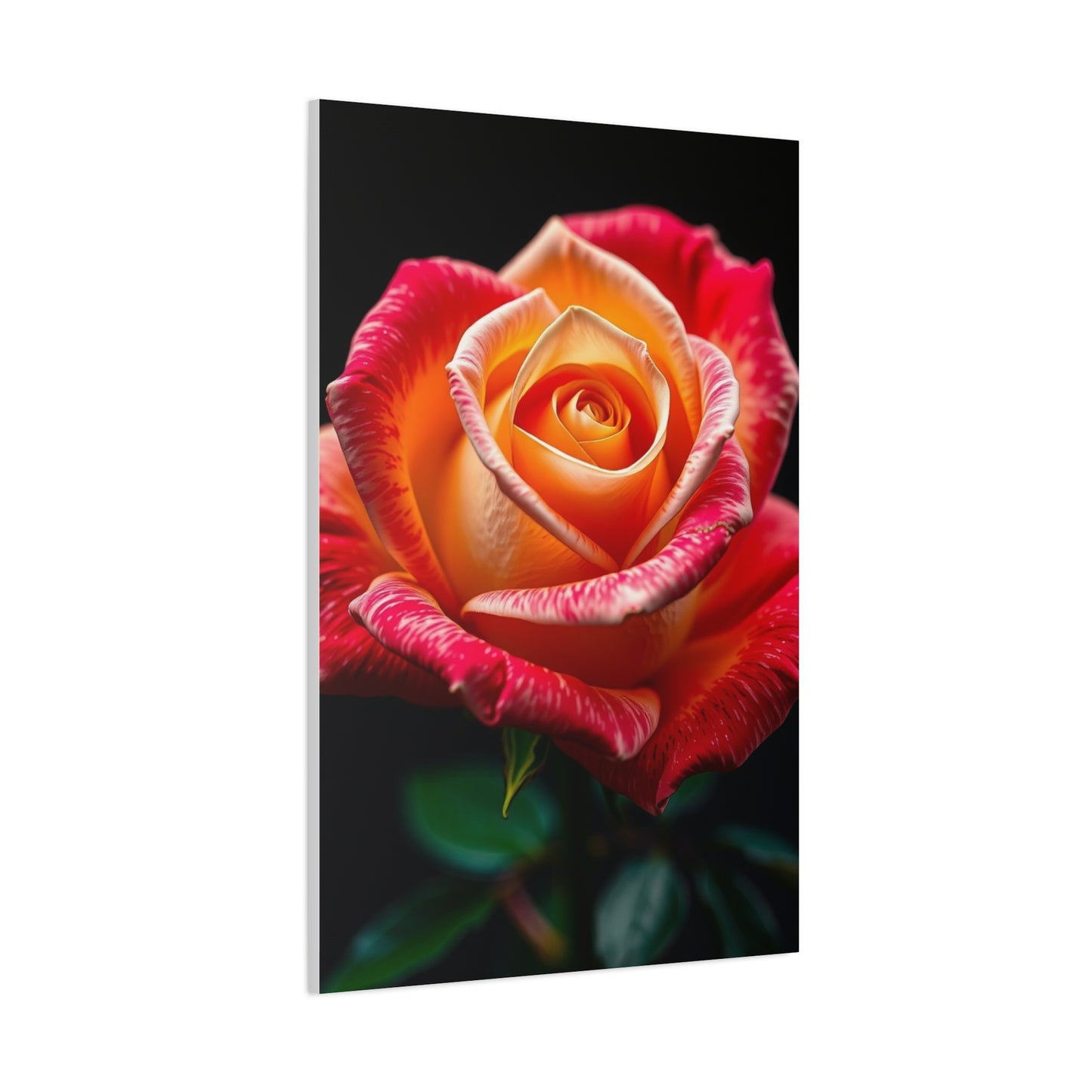 Supreme Rose Art Collection Wall Art & Canvas Print