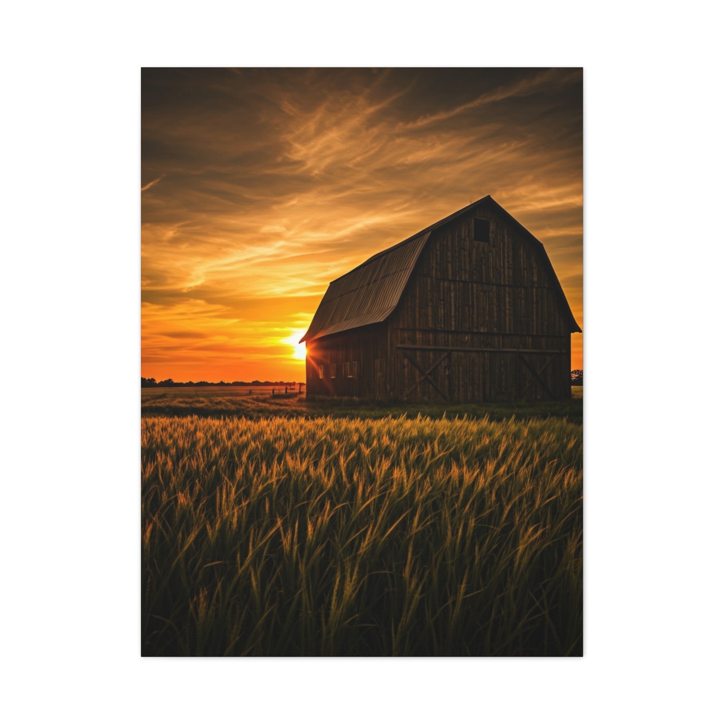 Sunset Barn in Tall Wheat Fields Wall Art & Canvas Prints