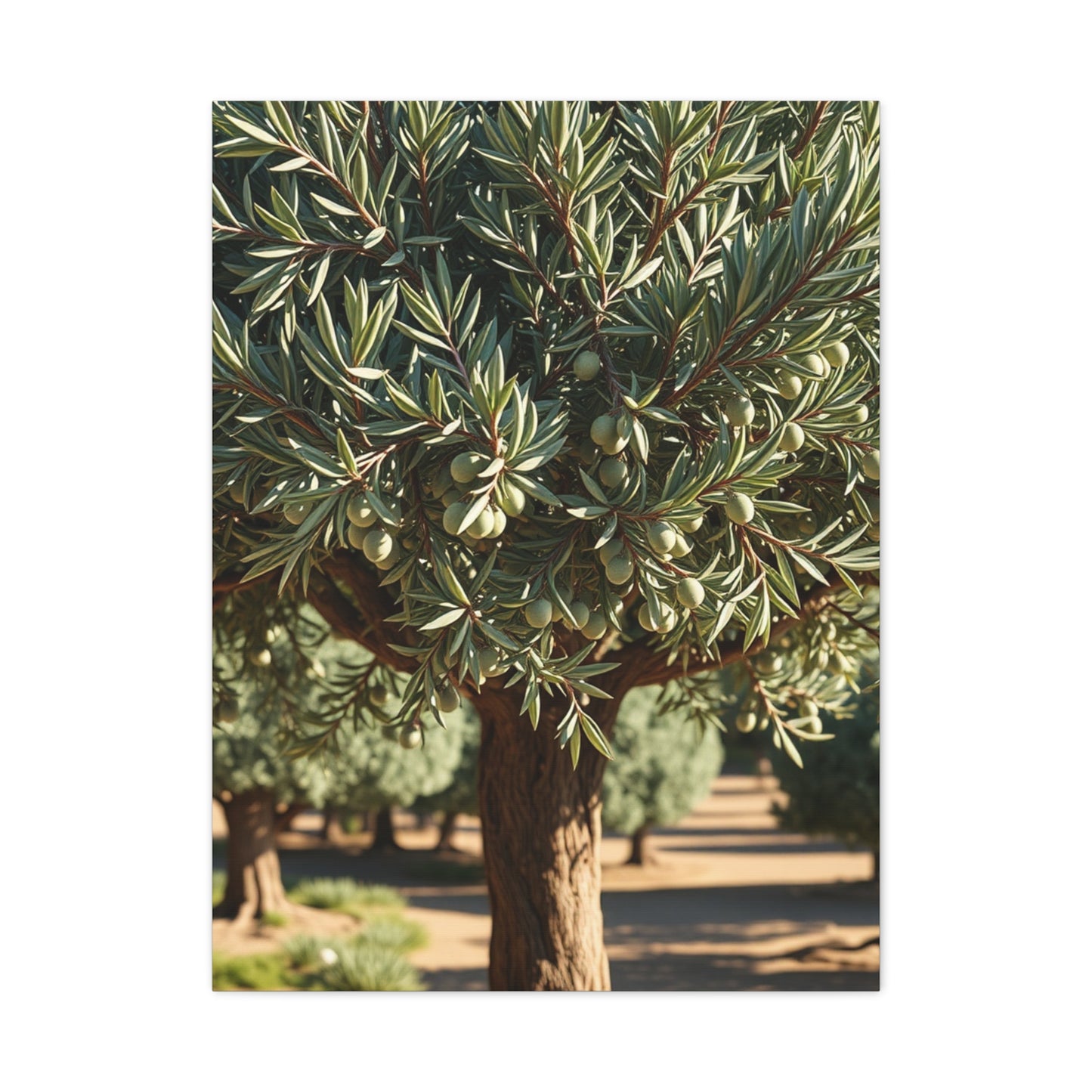 Olive Tree Art Supreme Gallery Wall Art & Canvas Print