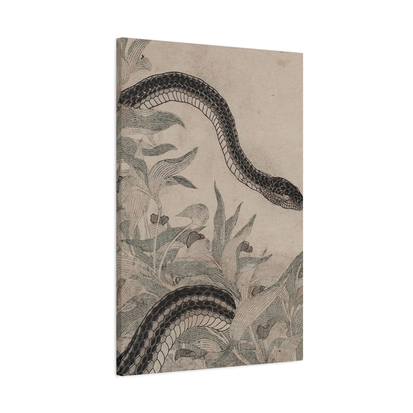 Cobra And Flower Wall Art & Canvas Prints