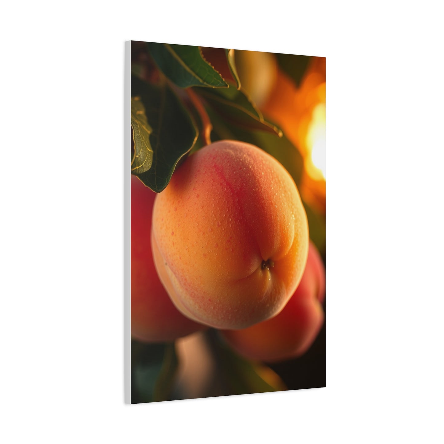 Elite Peach Art Vision Wall Art & Canvas Print