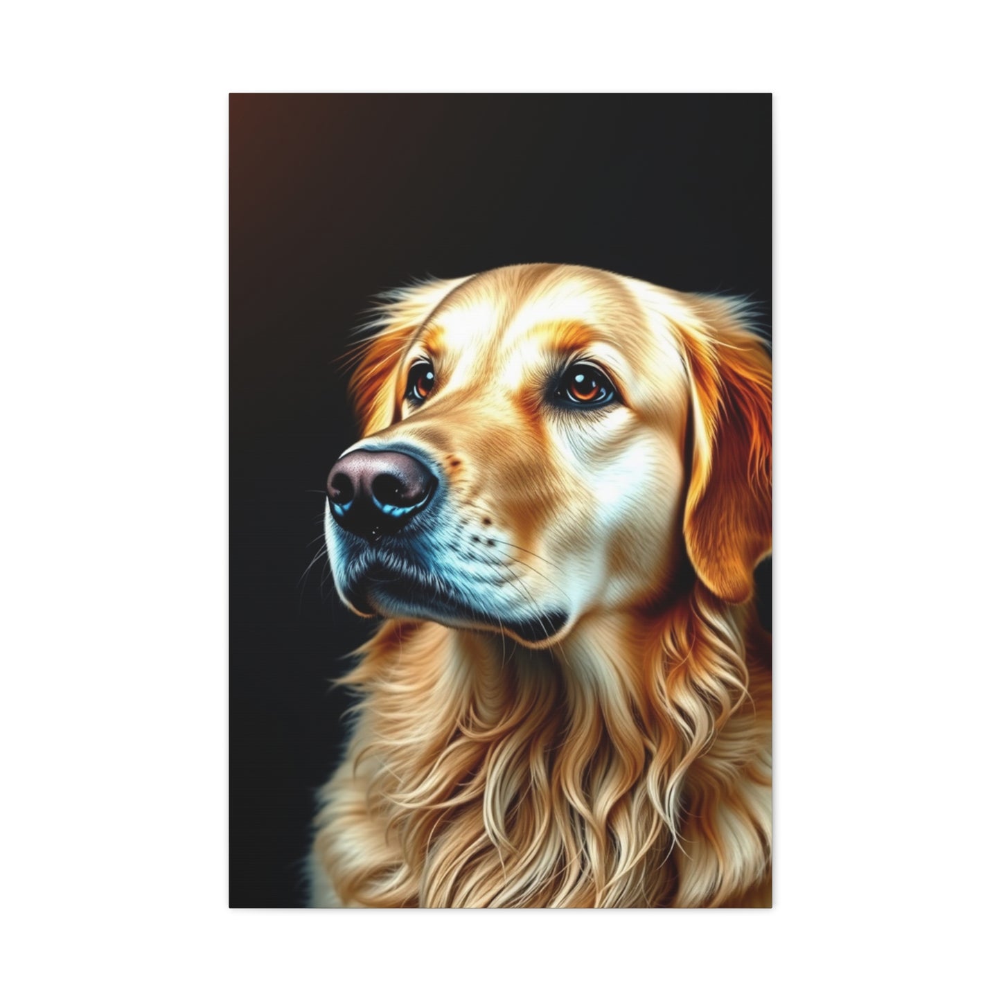 Supreme Golden Retriever Art Collection Wall Art & Canvas Print