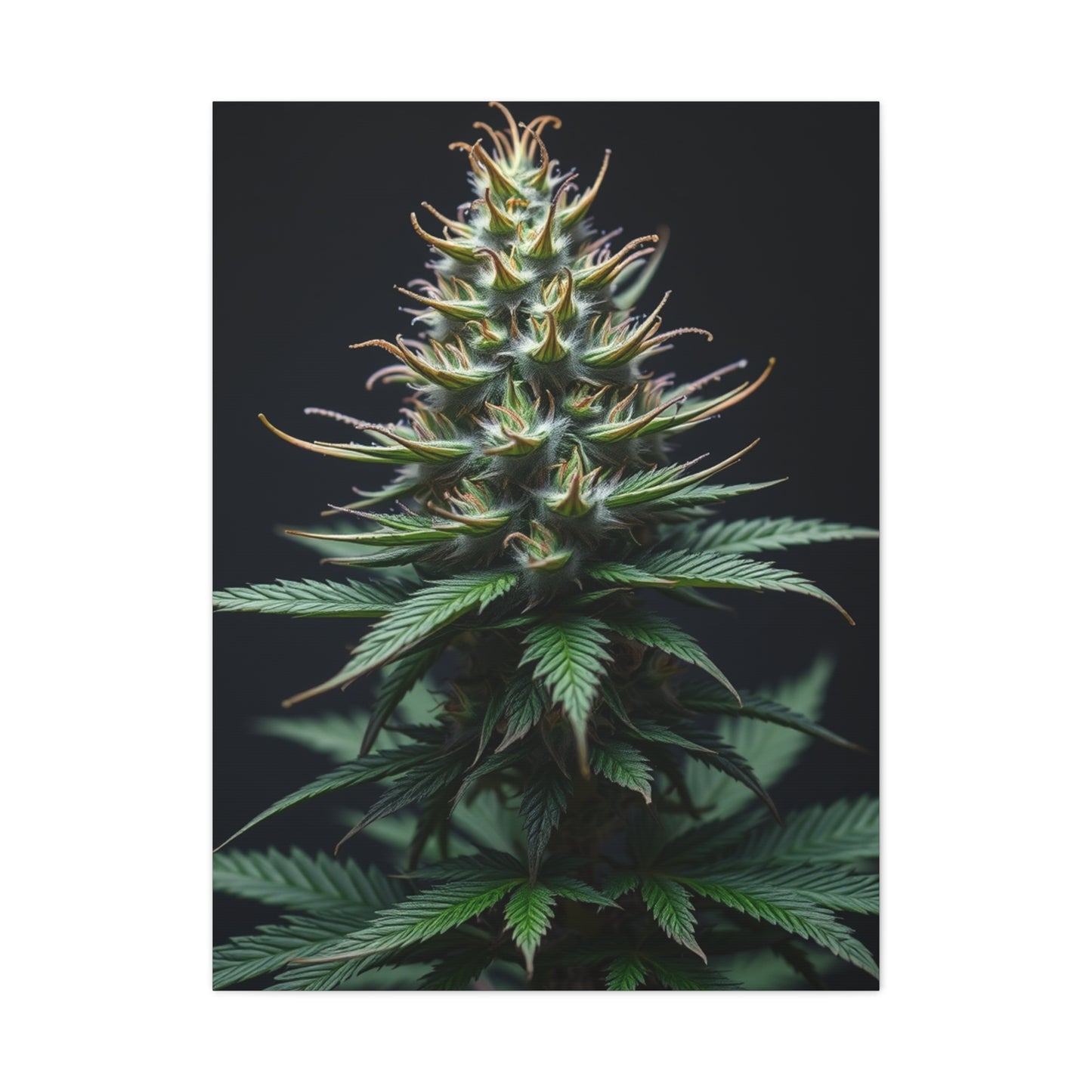 Lush Serenity Canvas Wall Art & Canvas Print