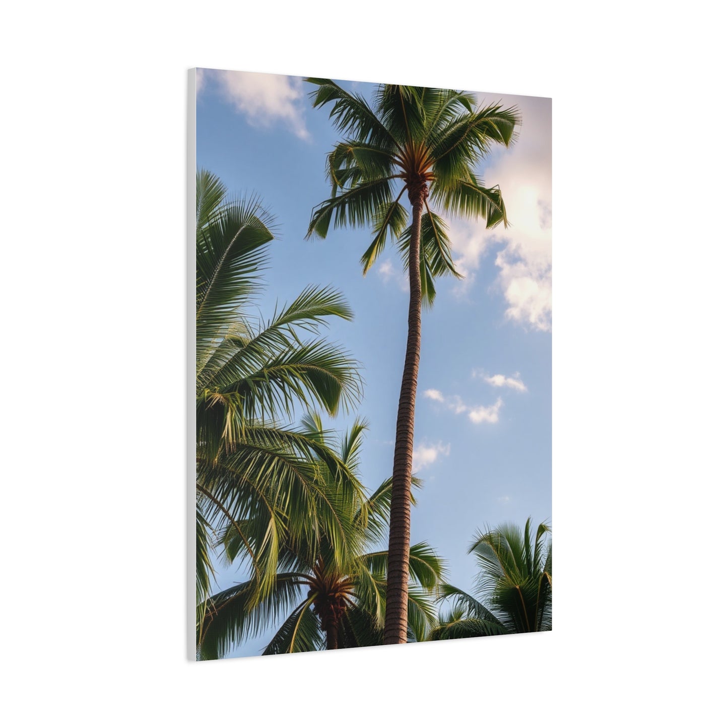 Serene Palms Composition Wall Art & Canvas Print