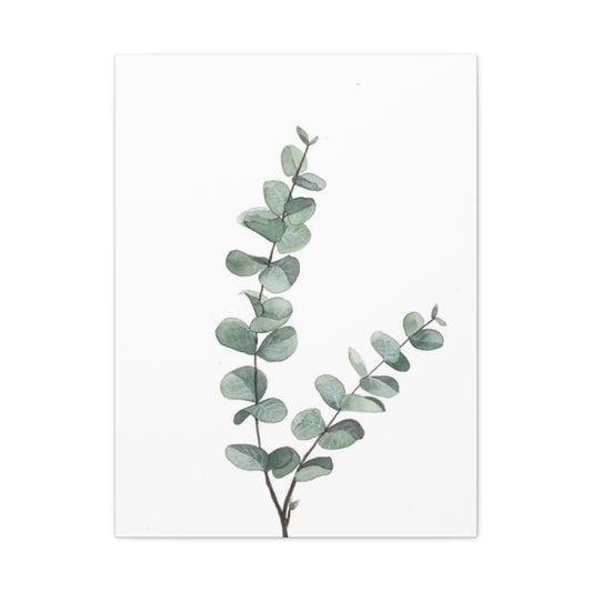 Two Eucalyptus Stem Wall Art & Canvas Prints
