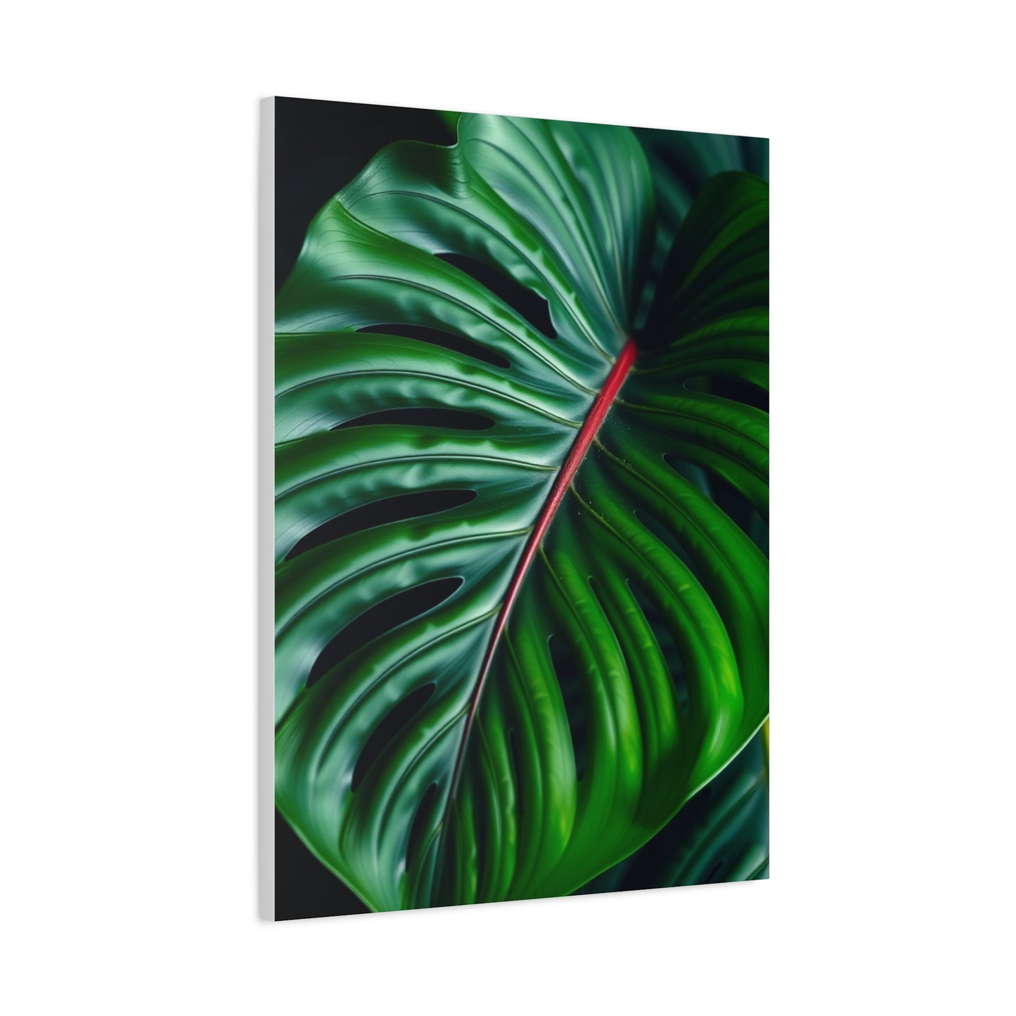 Monstera Plant Art Supreme Gallery Wall Art & Canvas Print