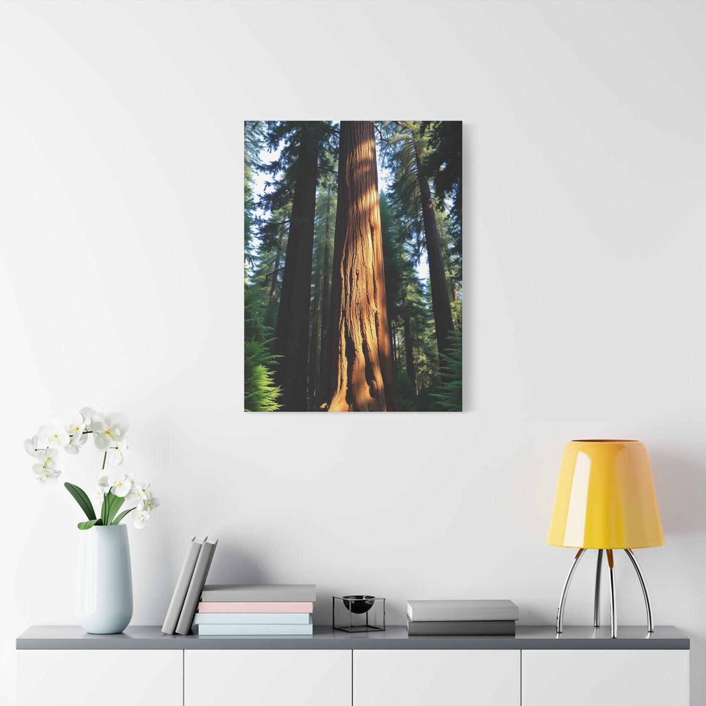 Supreme Redwood Tree Art Collection Wall Art & Canvas Print