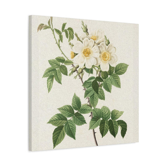 White Flower Wall Art & Canvas Prints