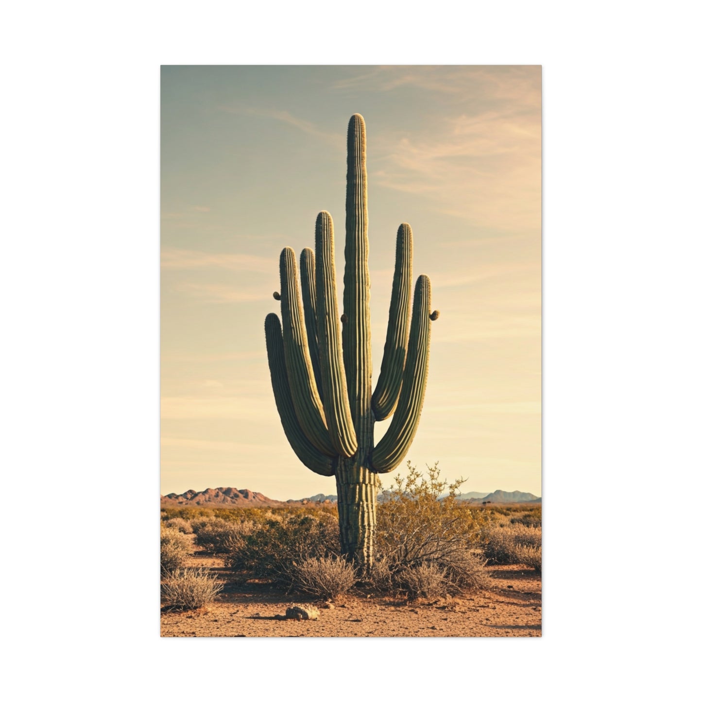 Golden Desert Saguaro Landscape Wall Art & Canvas Prints