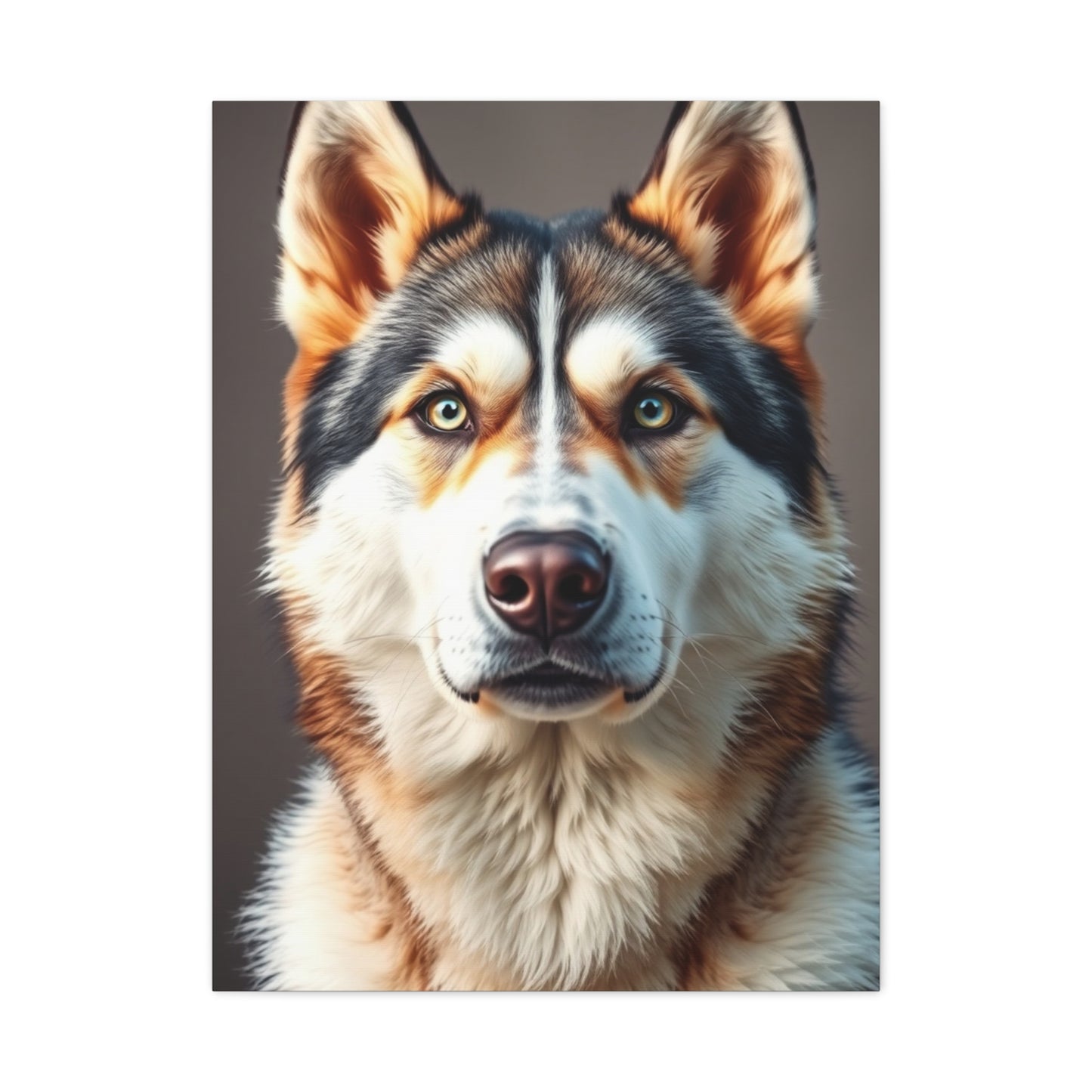 Celestial Husky Portraits