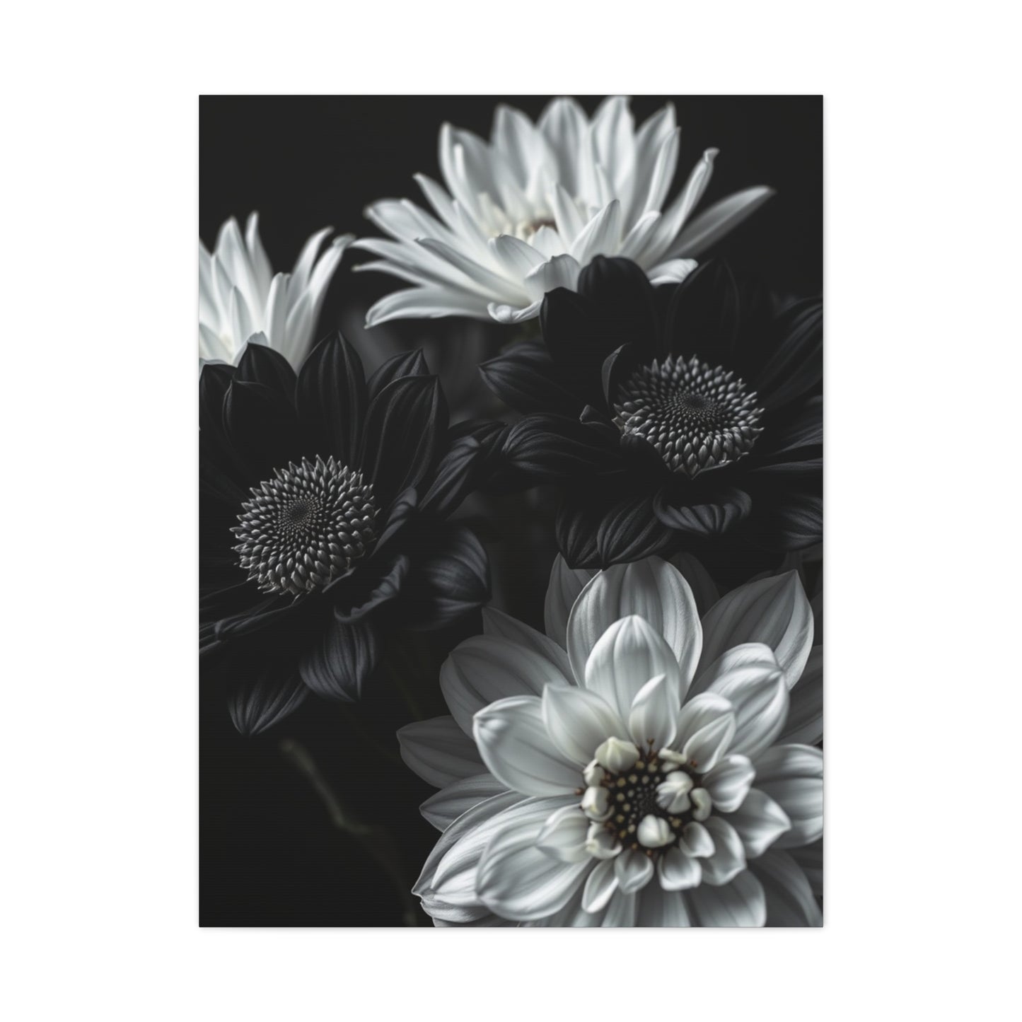Monochrome Bloom Elegance Wall Art & Canvas Print