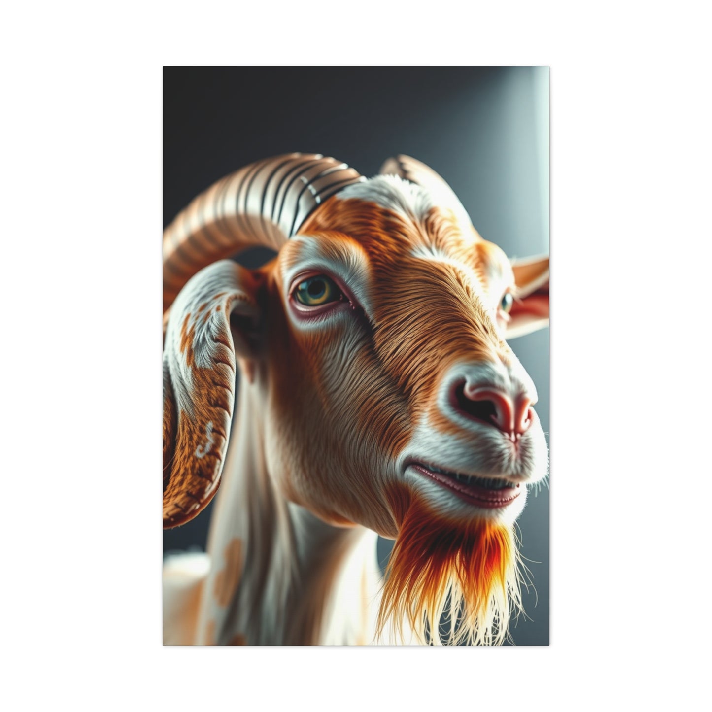 Regal Capra Artistry Wall Art & Canvas Print