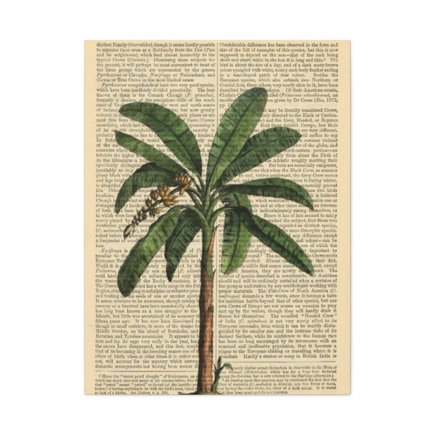 Palm Tree Painting On Vintage Paper Wall Art & Canvas Prints