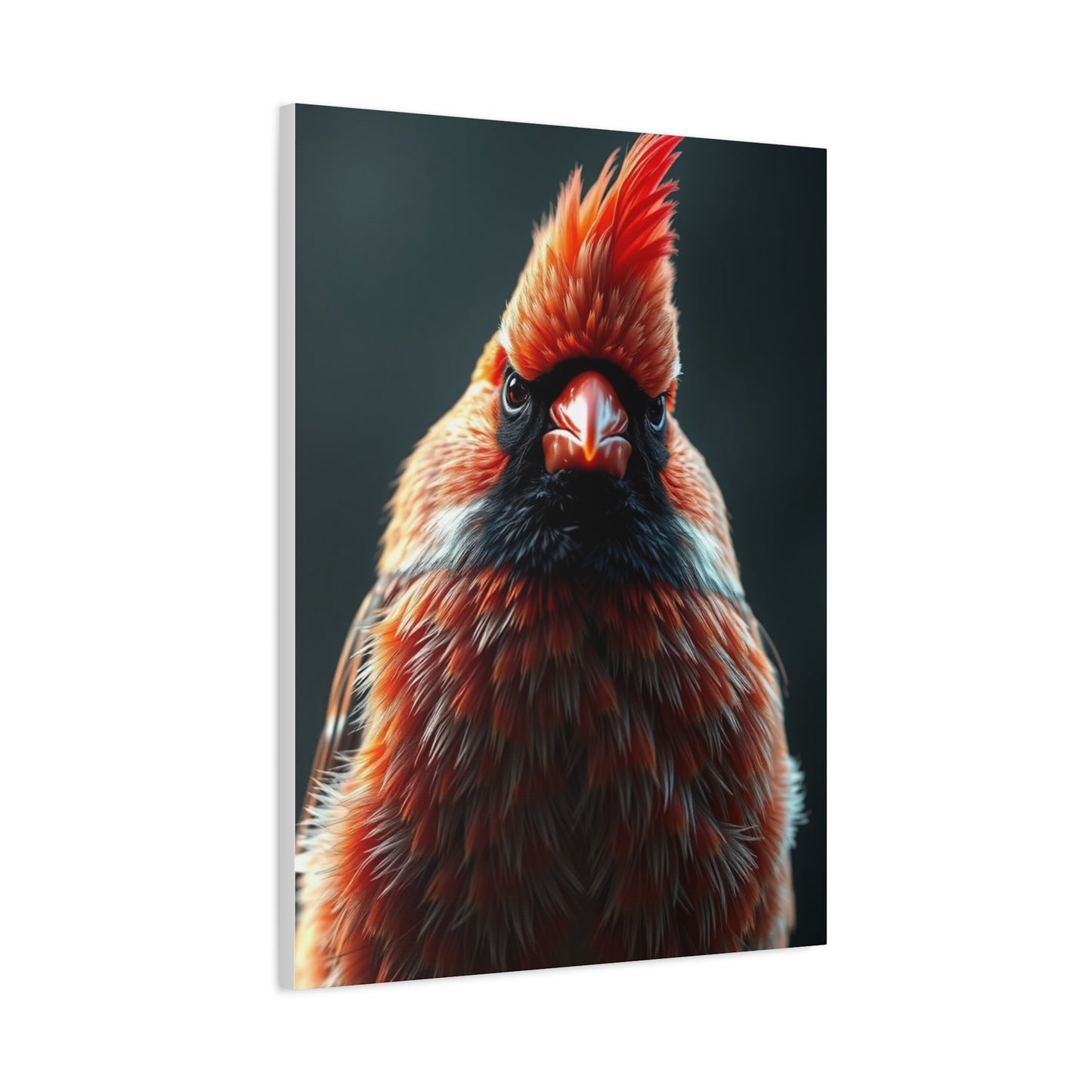 Supreme Cardinal Art Collection Wall Art & Canvas Print