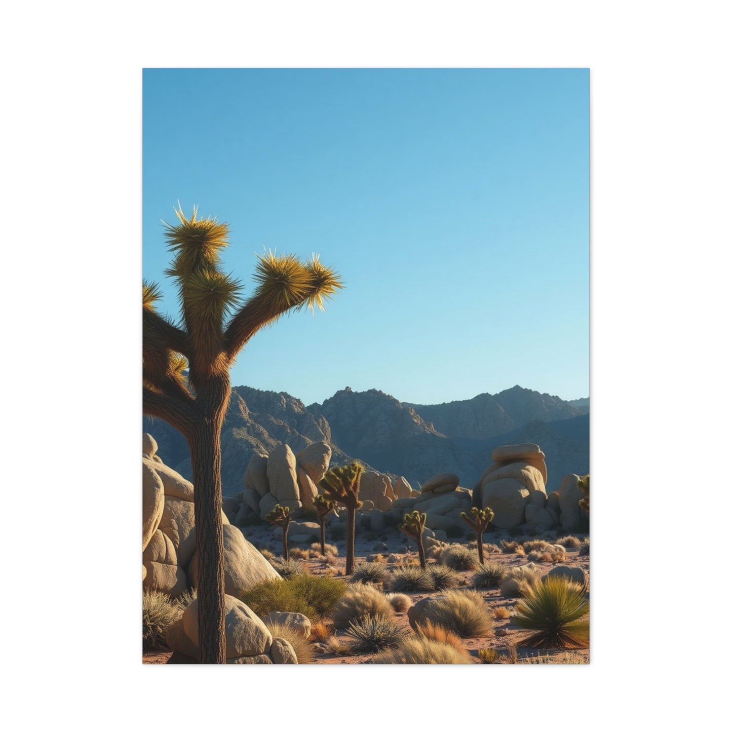 Supreme Joshua Tree National Park Art Collection Wall Art & Canvas Print