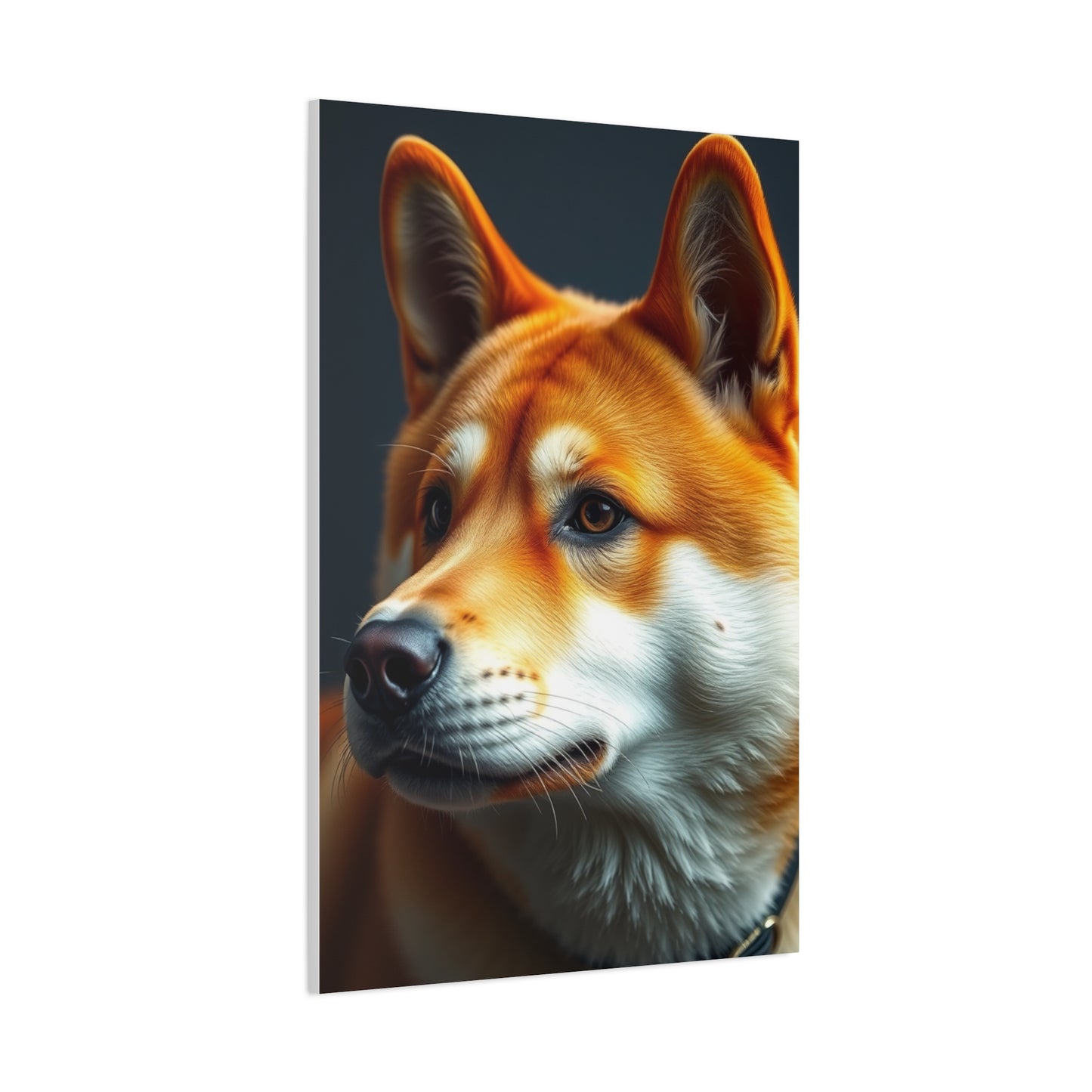 Shiba Inu Dog Art Refined Canvas Wall Art & Canvas Print