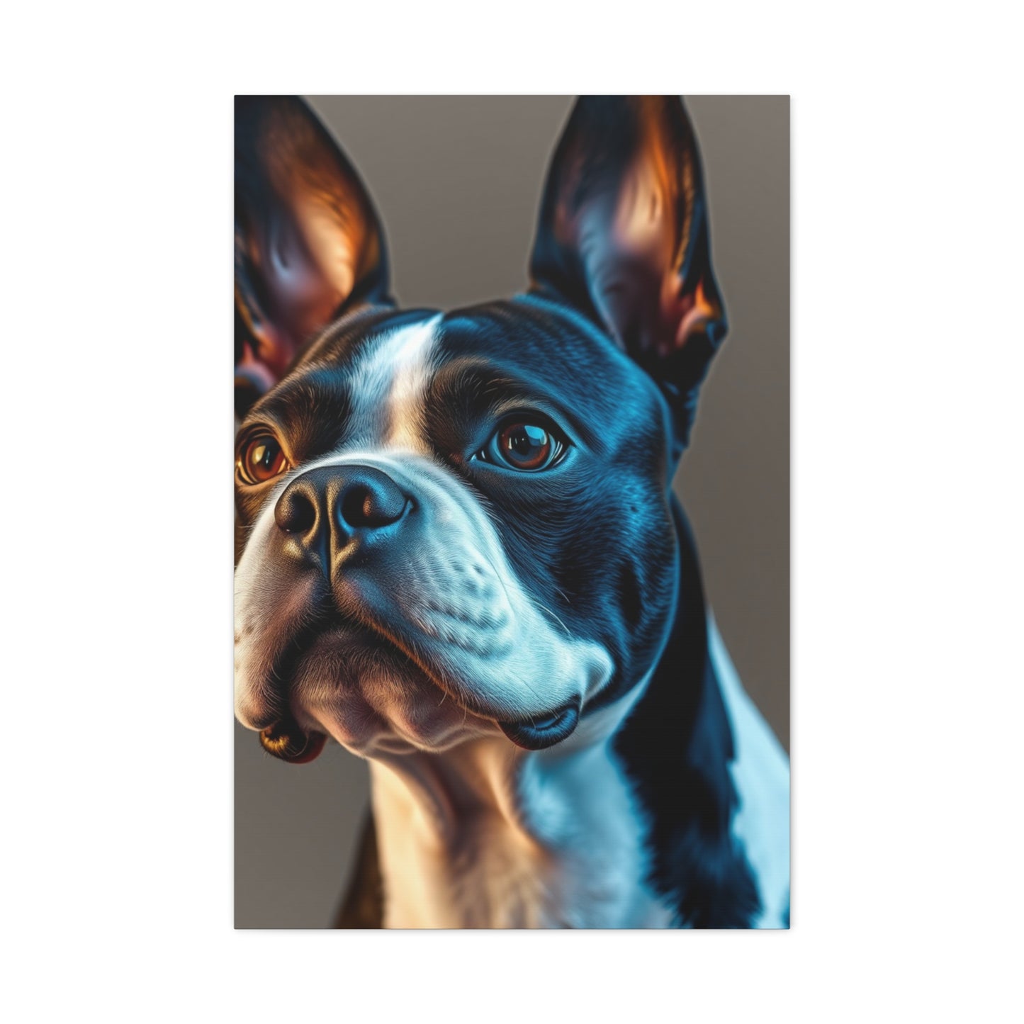 Boston Terrier Art Supreme Gallery Wall Art & Canvas Print