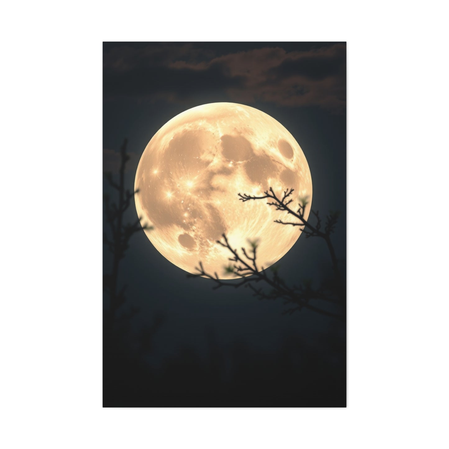 Elite Full Moon Art Vision Wall Art & Canvas Print