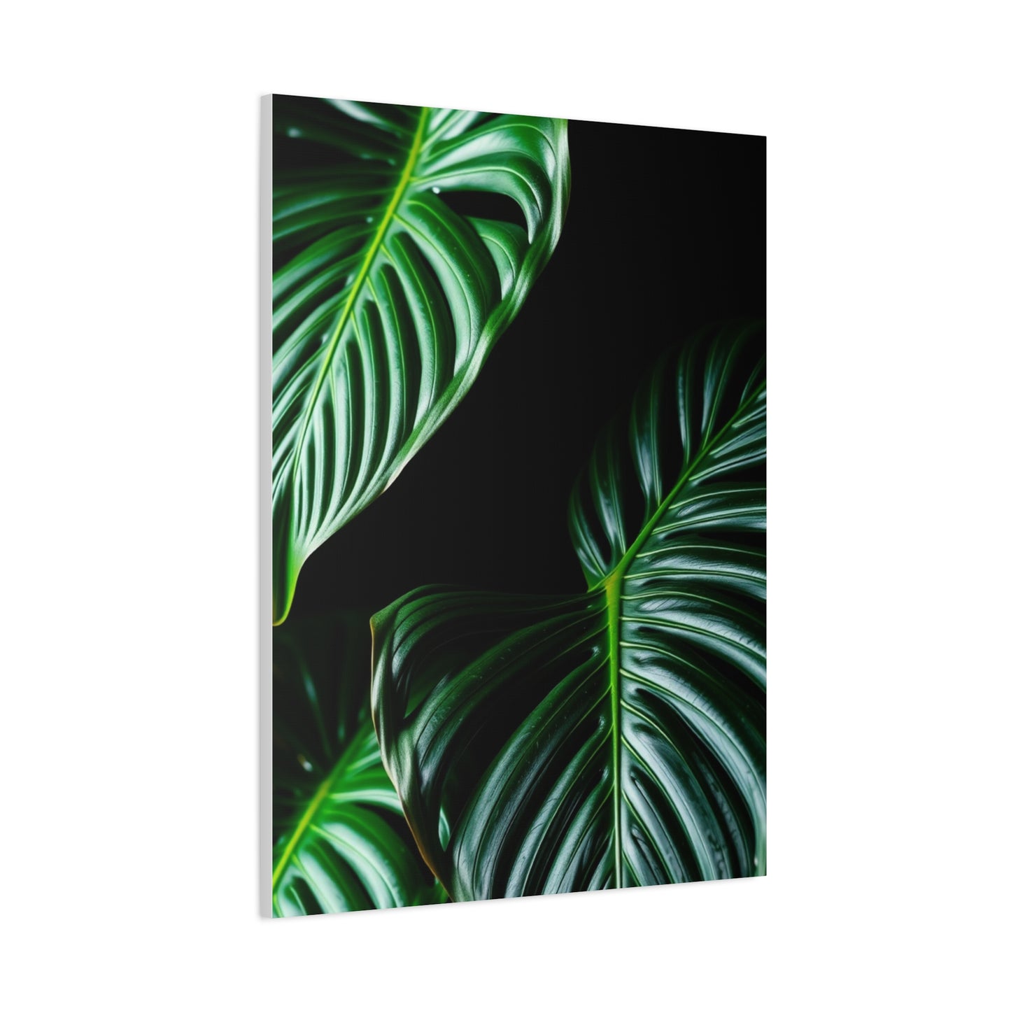 Collection Monstera Plant Art Art Wall Art & Canvas Print