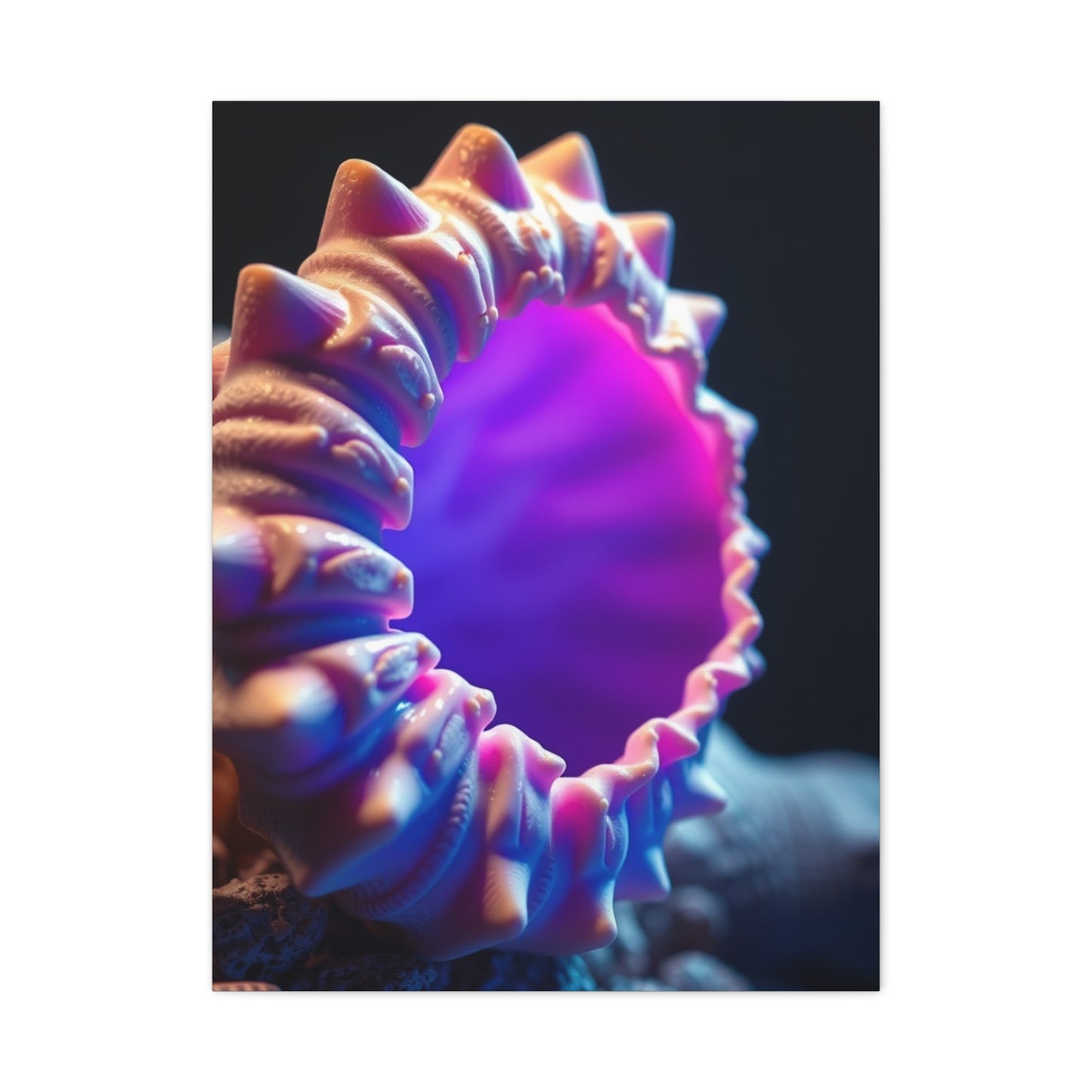 Supreme Sea Shell Art Collection Wall Art & Canvas Print