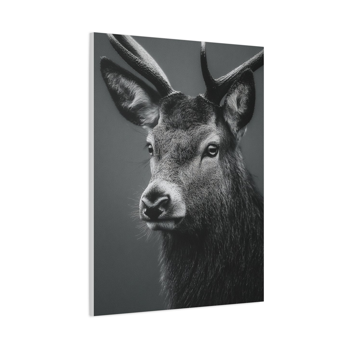 Highland Stag Moonlight Profile Wall Art & Canvas Print