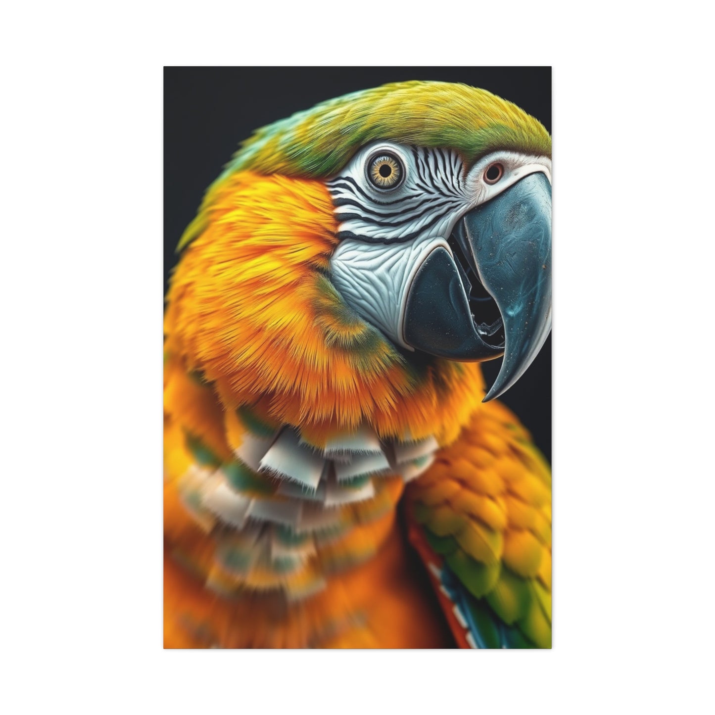 Vision Parrot Art Art Wall Art & Canvas Print
