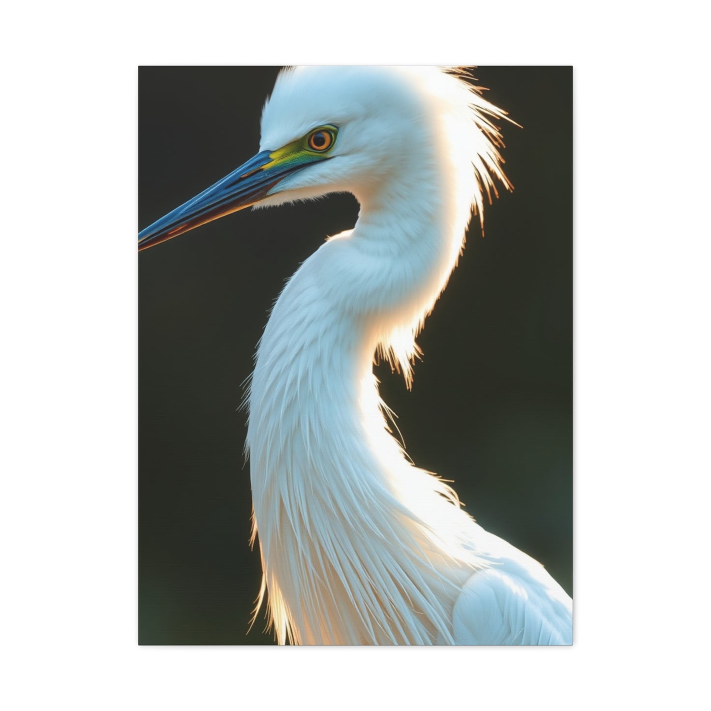 Supreme Egret Art Collection Wall Art & Canvas Print