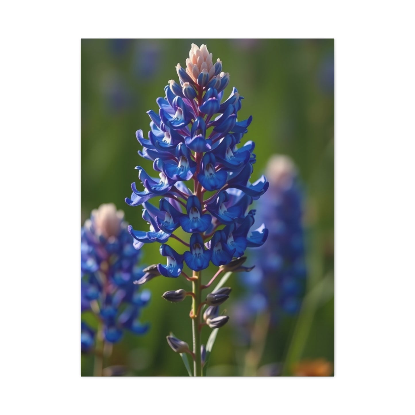 Bluebonnet Flower Art Refined Canvas Wall Art & Canvas Print