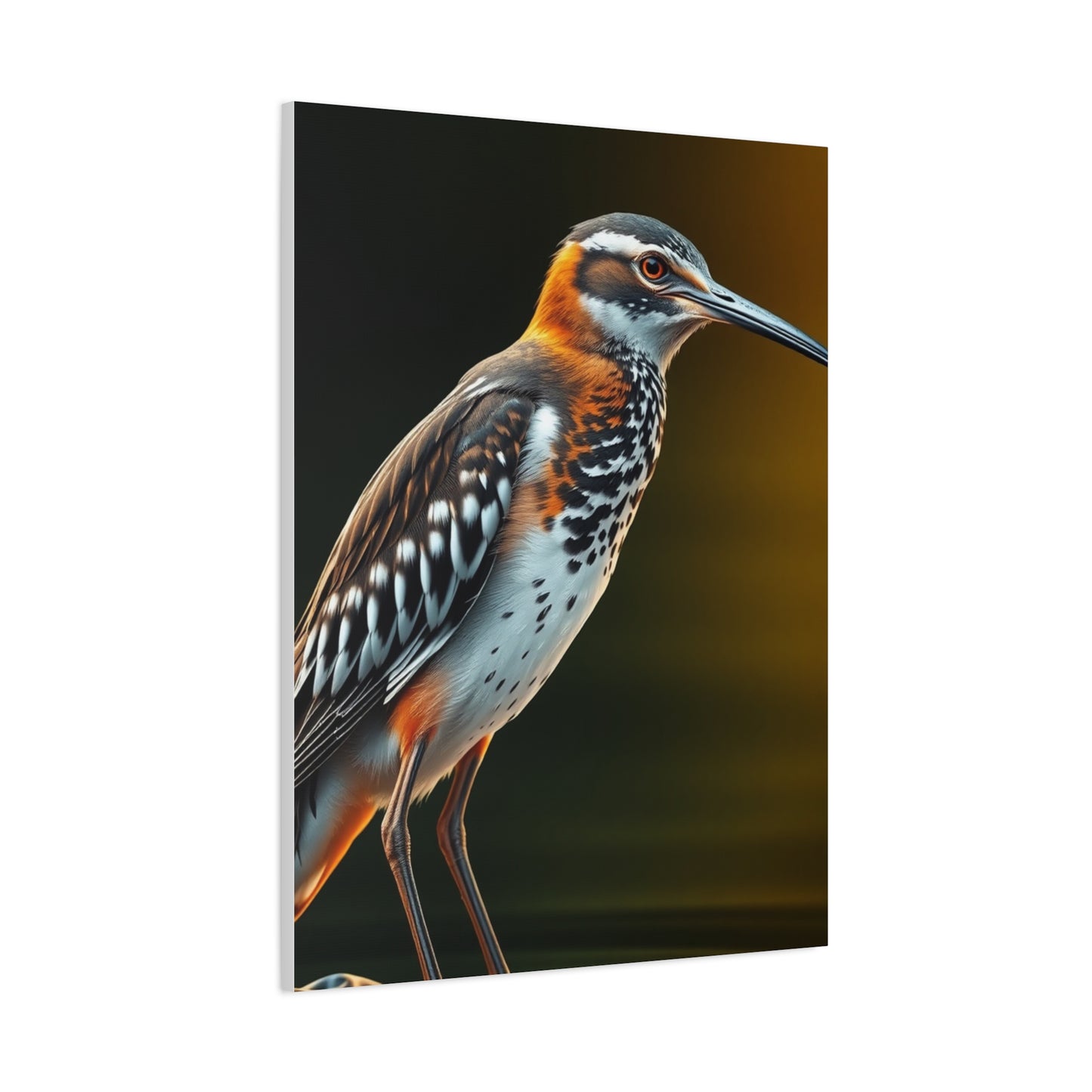 Supreme Sandpiper Art Collection Wall Art & Canvas Print