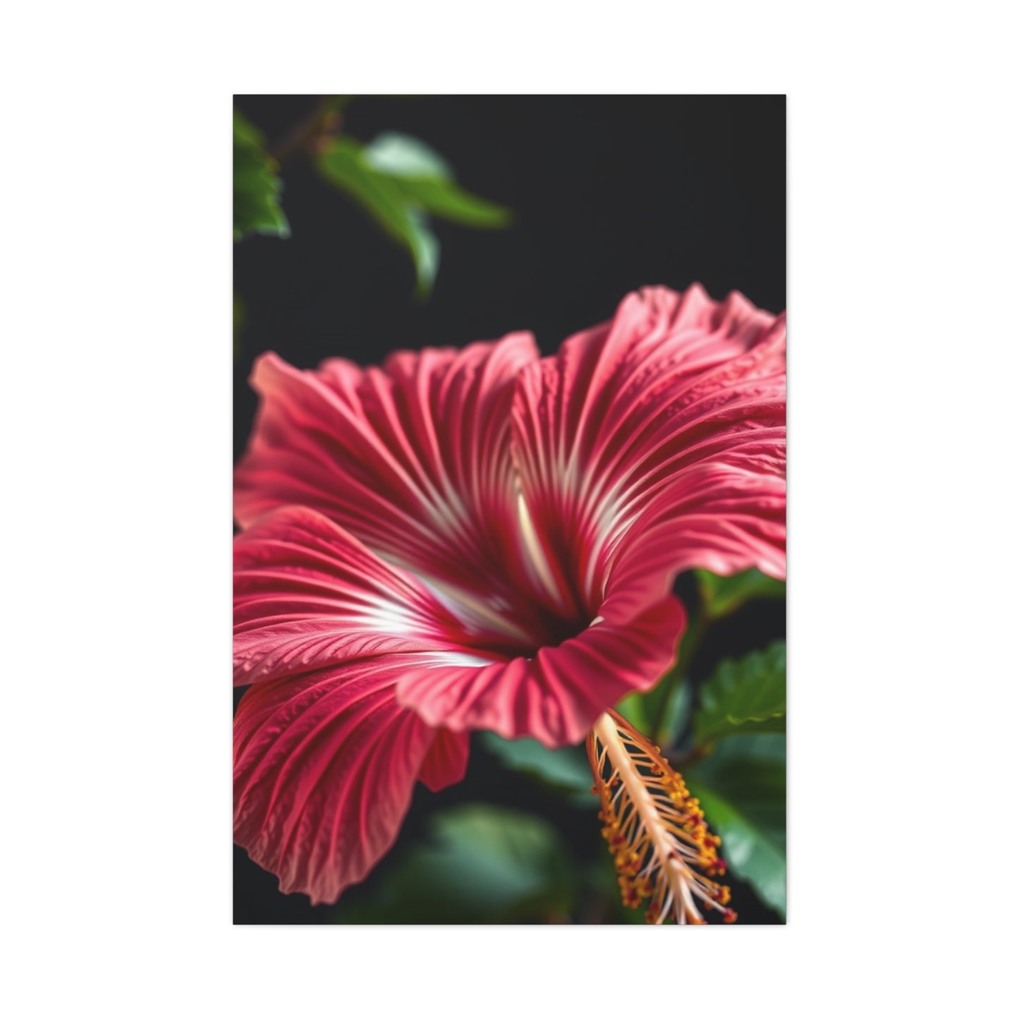 Hibiscus Flower Art Supreme Gallery Wall Art & Canvas Print