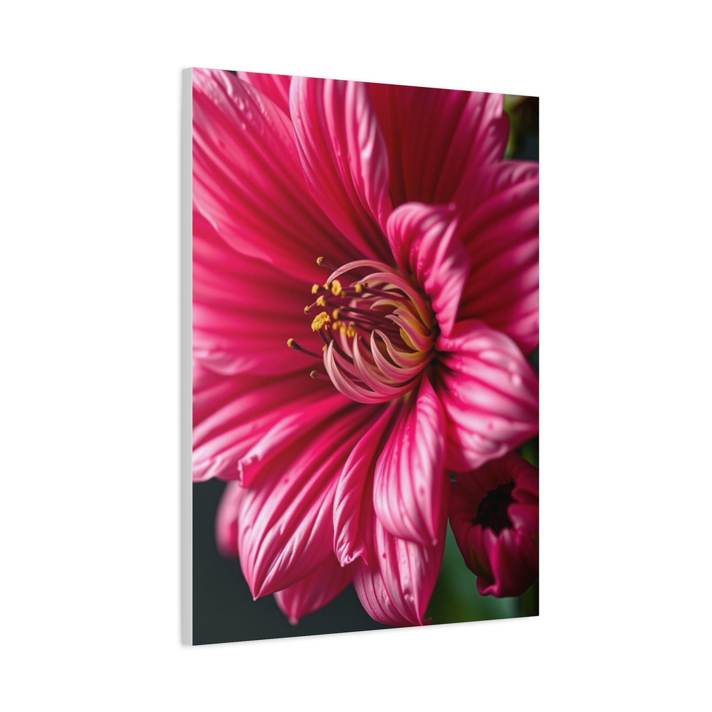 Blossom Opus Artwork Wall Art & Canvas Print