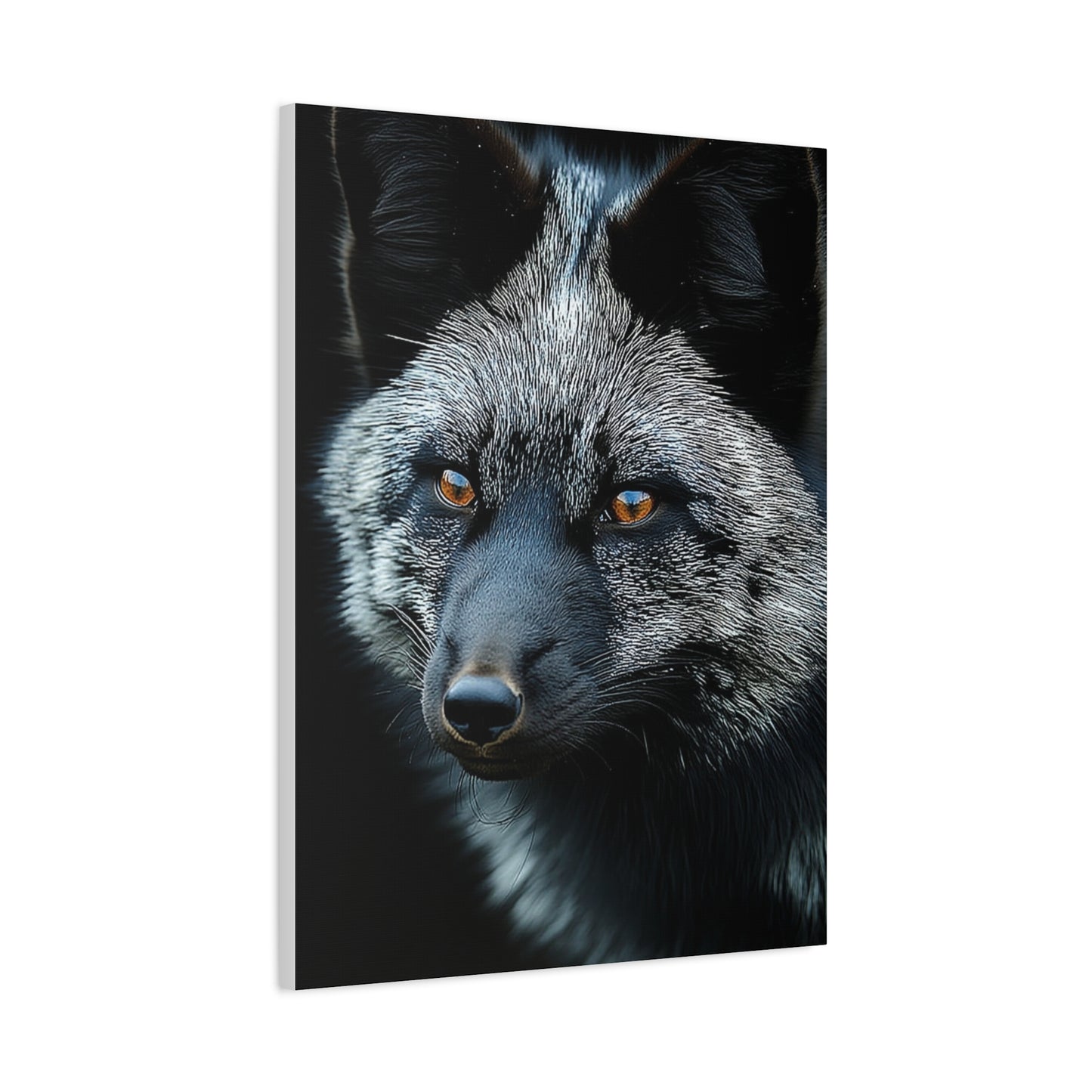 Silver Fox Velvet Portrait Wall Art & Canvas Print
