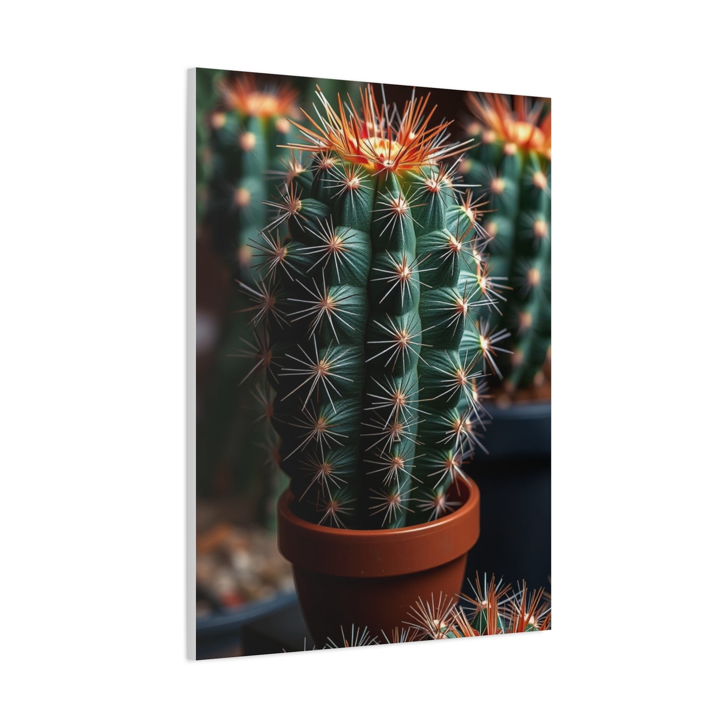 Sublime Cactus Grandeur Wall Art & Canvas Print