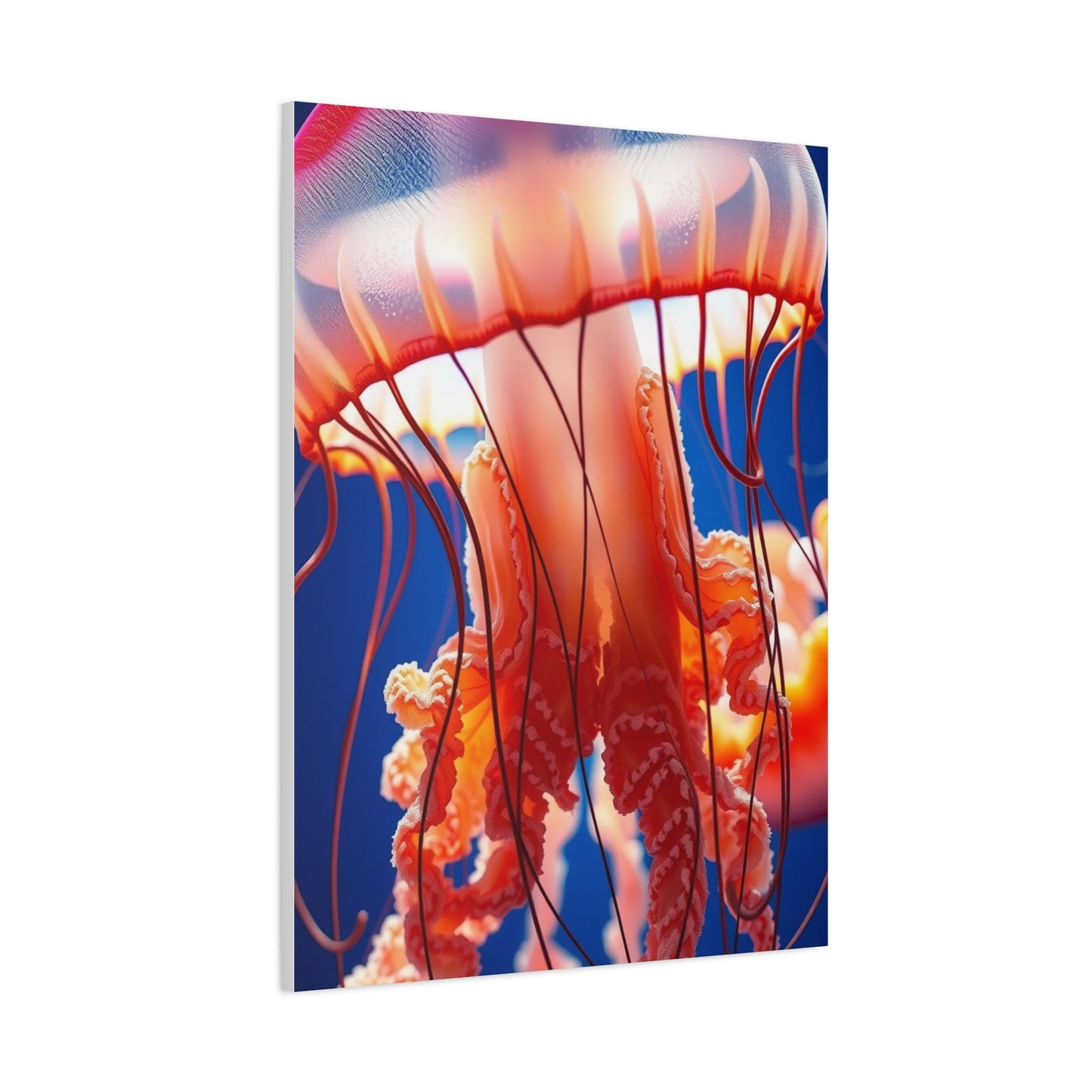 Supreme Jellyfish Art Collection Wall Art & Canvas Print