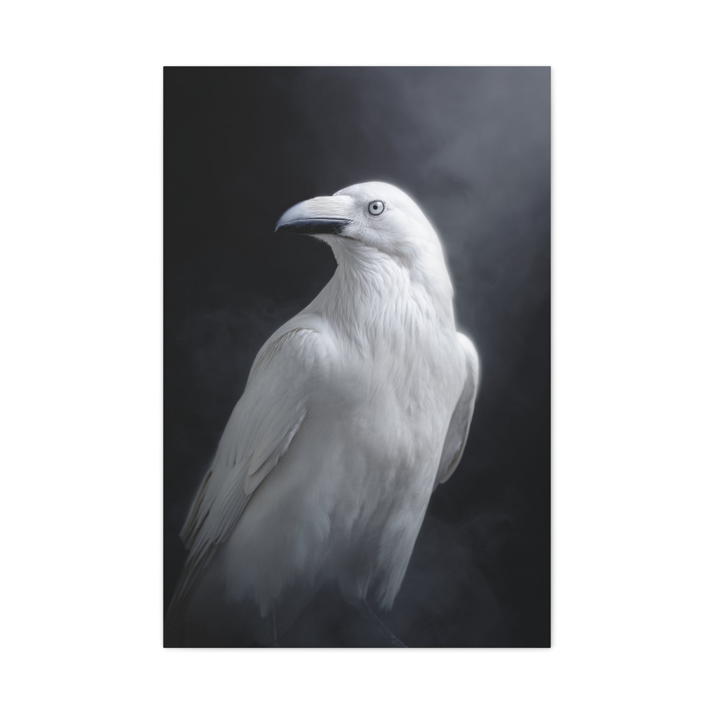 Elegant White Raven Portrait Wall Art & Canvas Print
