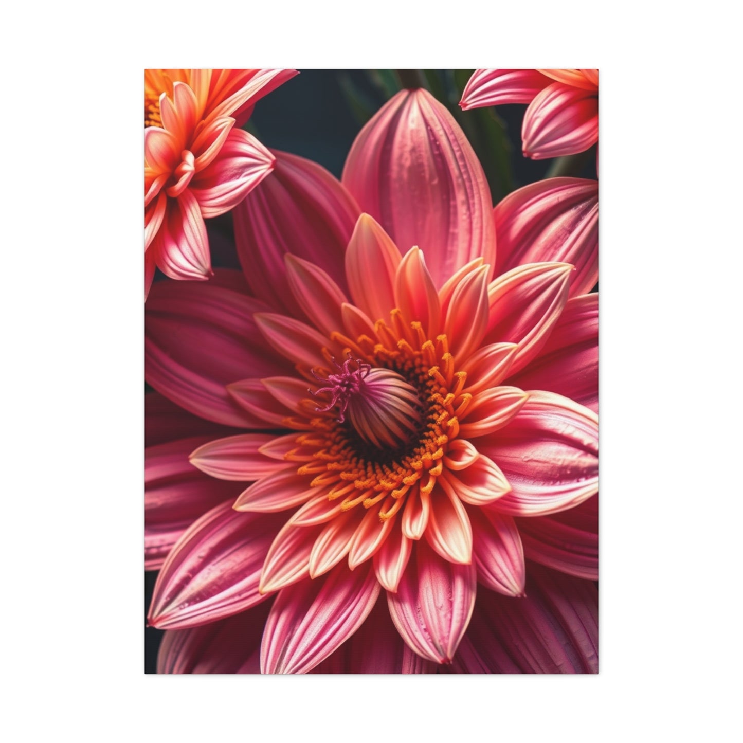 Floral Reverie Collection