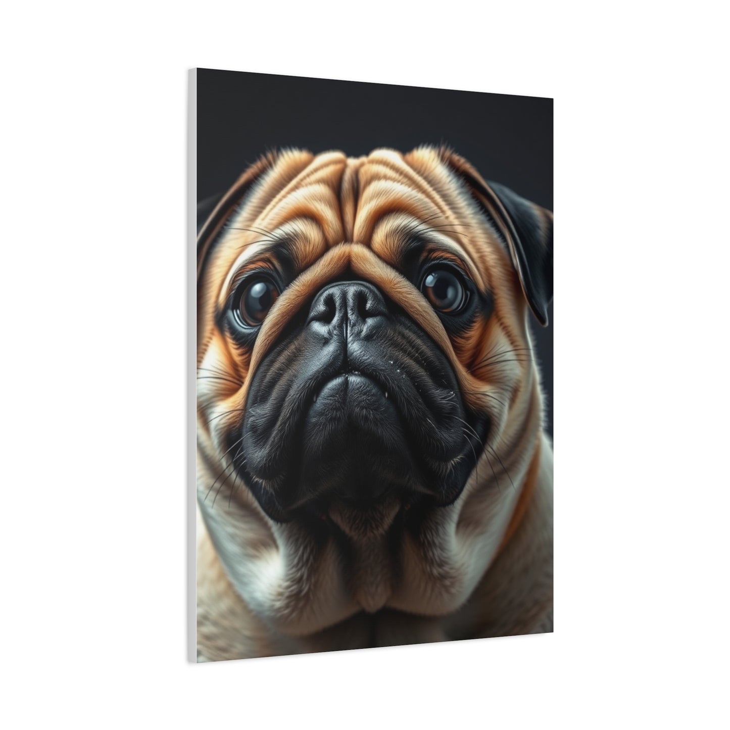 Supreme Pug Art Collection Wall Art & Canvas Print