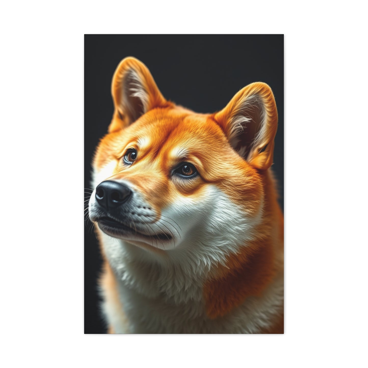 Shiba Inu Dog Art Luxury Canvas Wall Art & Canvas Print