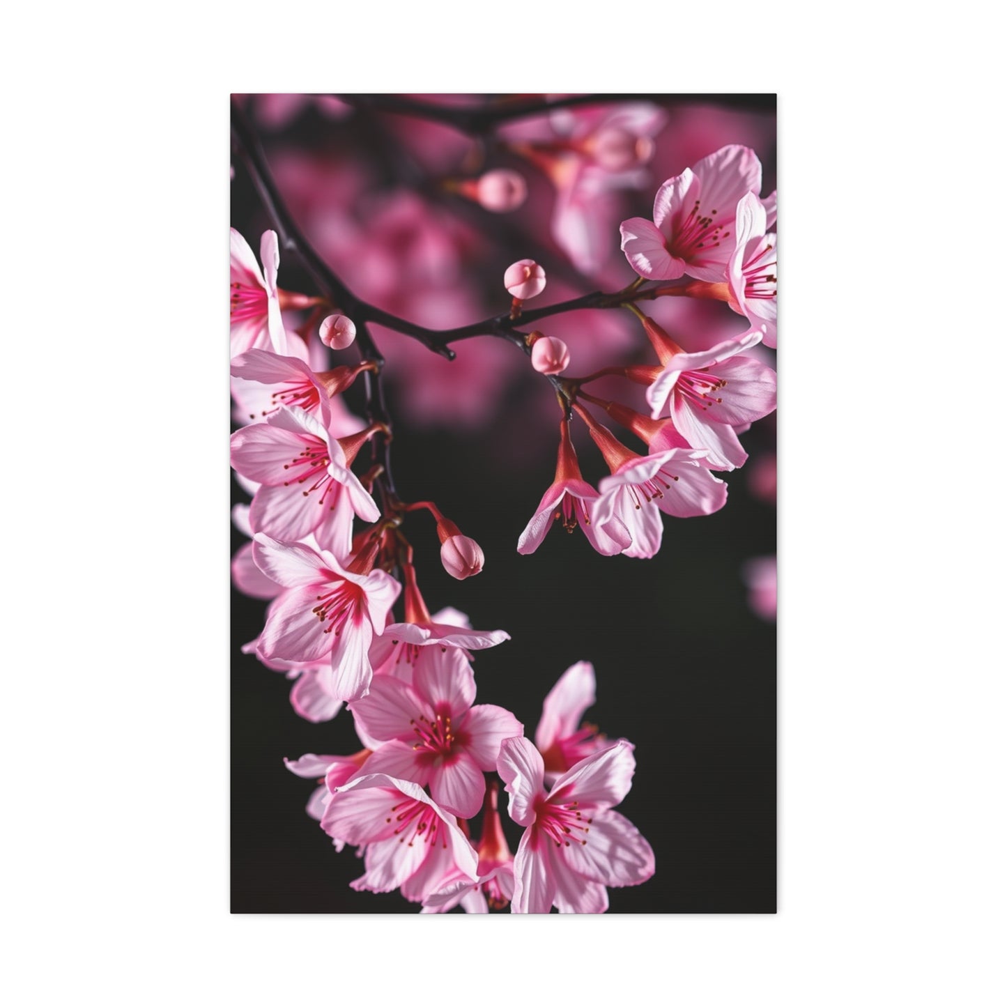 Supreme Cherry Blossom Wall Art Collection Wall Art & Canvas Print
