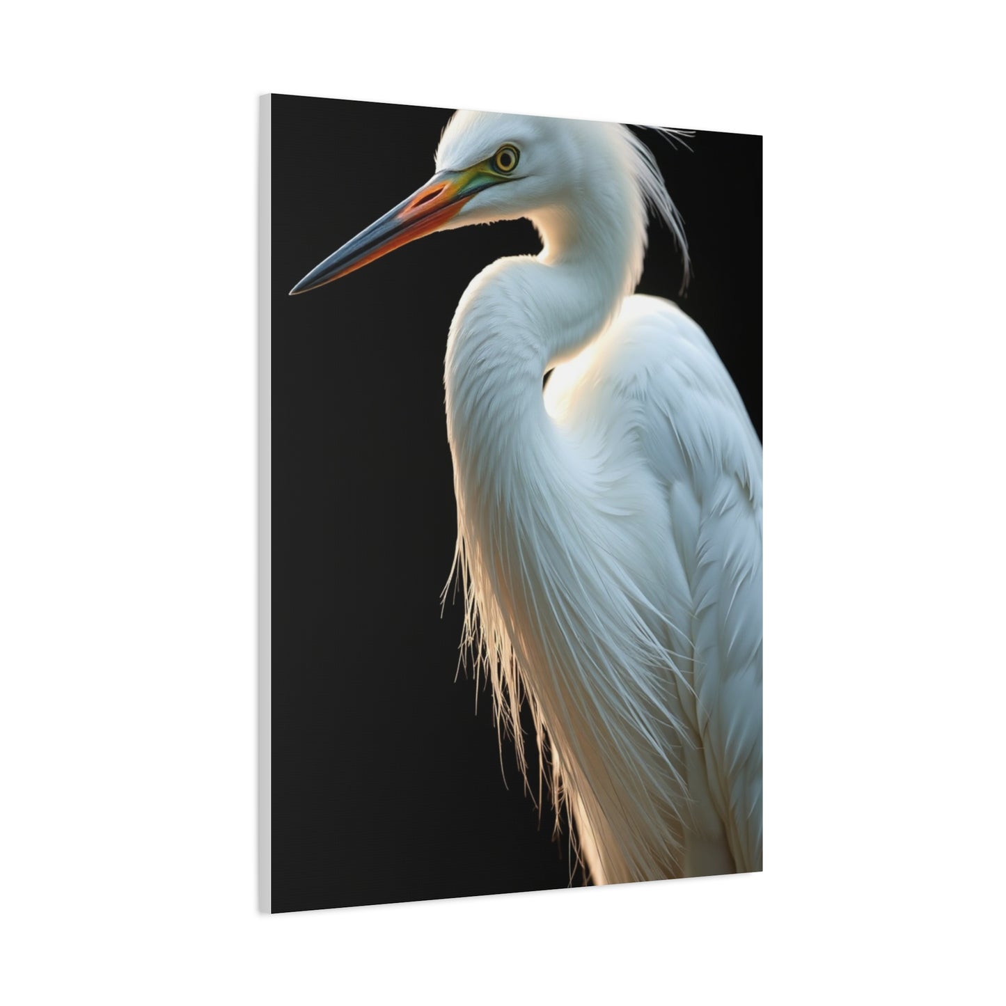 Supreme Egret Art Collection Wall Art & Canvas Print