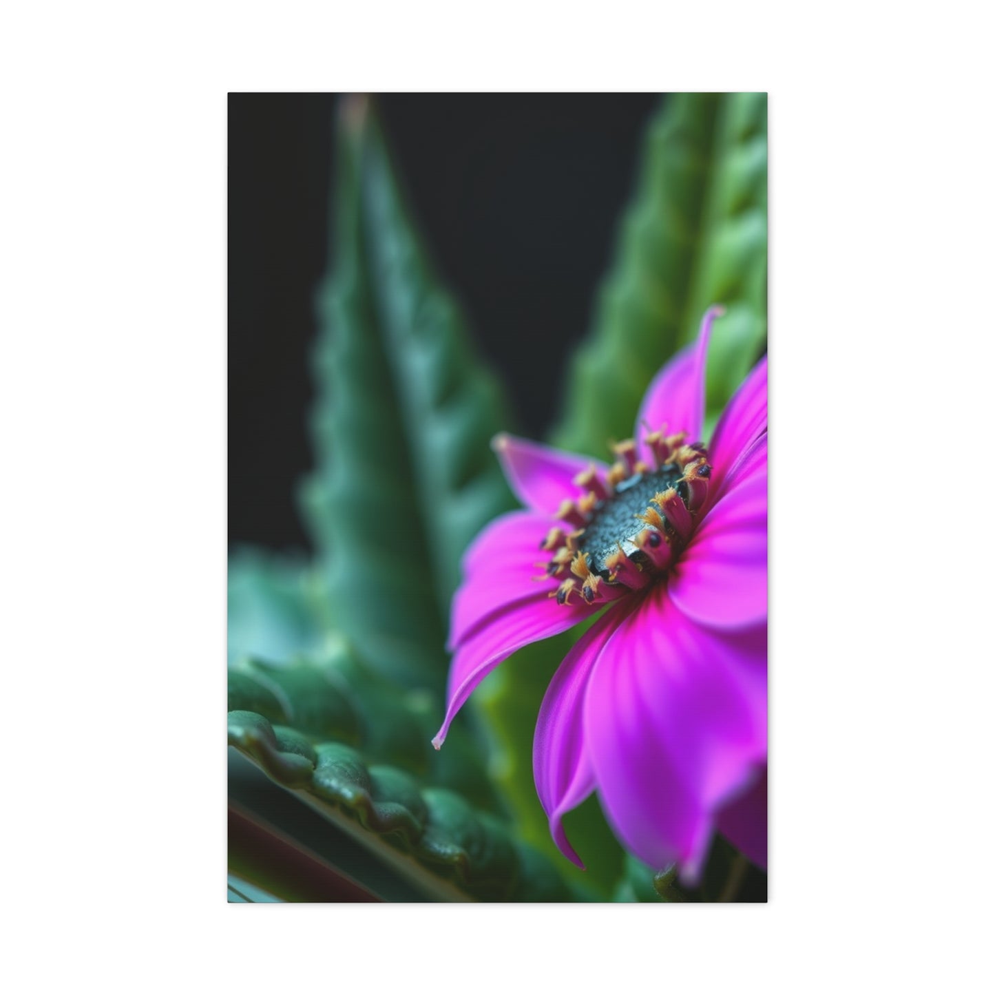 Nature Closeups Art Refined Canvas Wall Art & Canvas Print