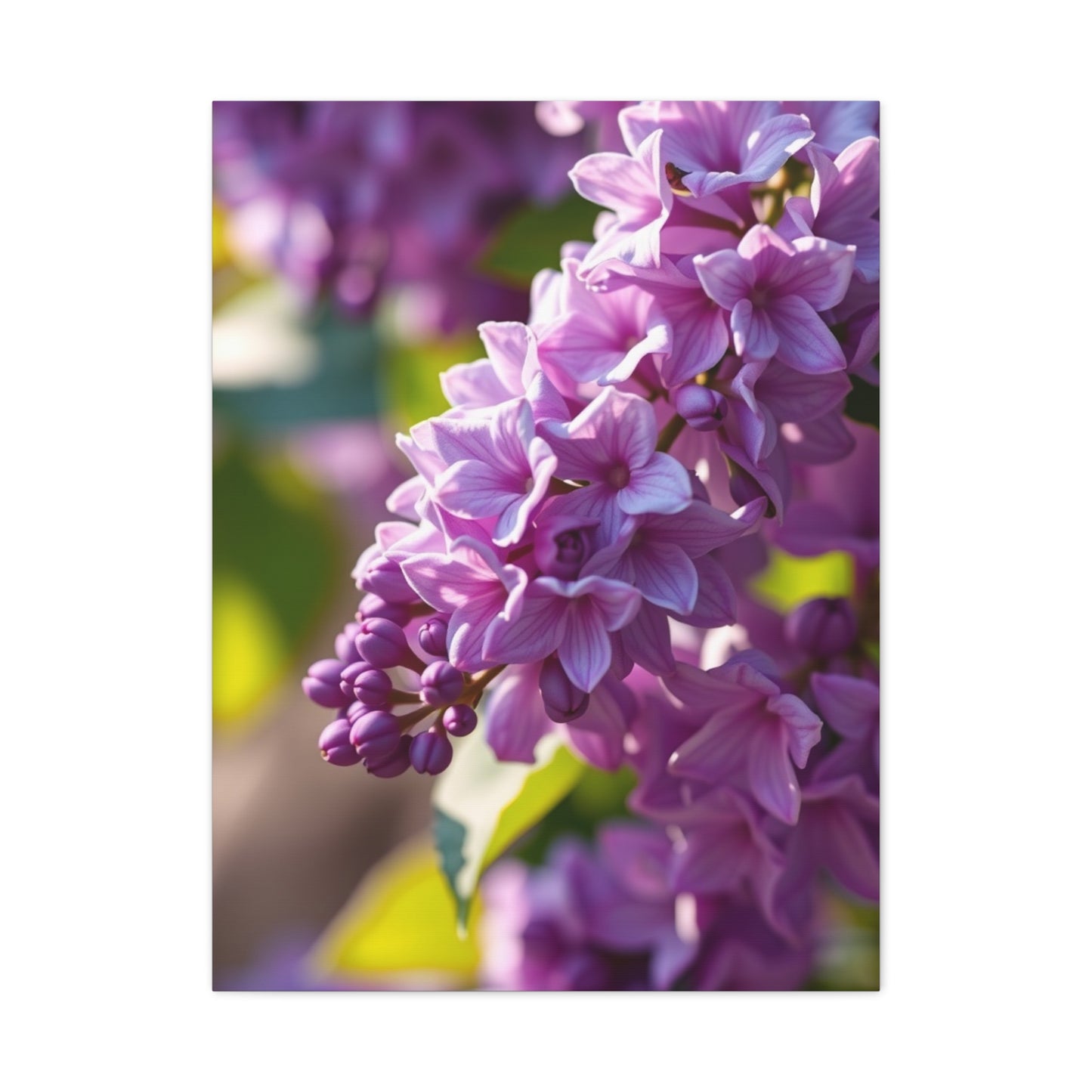 Lilac Flower Art Supreme Gallery Wall Art & Canvas Print